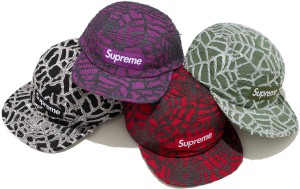 Spiderweb Camp Cap