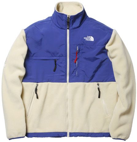 2008FW Supreme x The North Face - その他