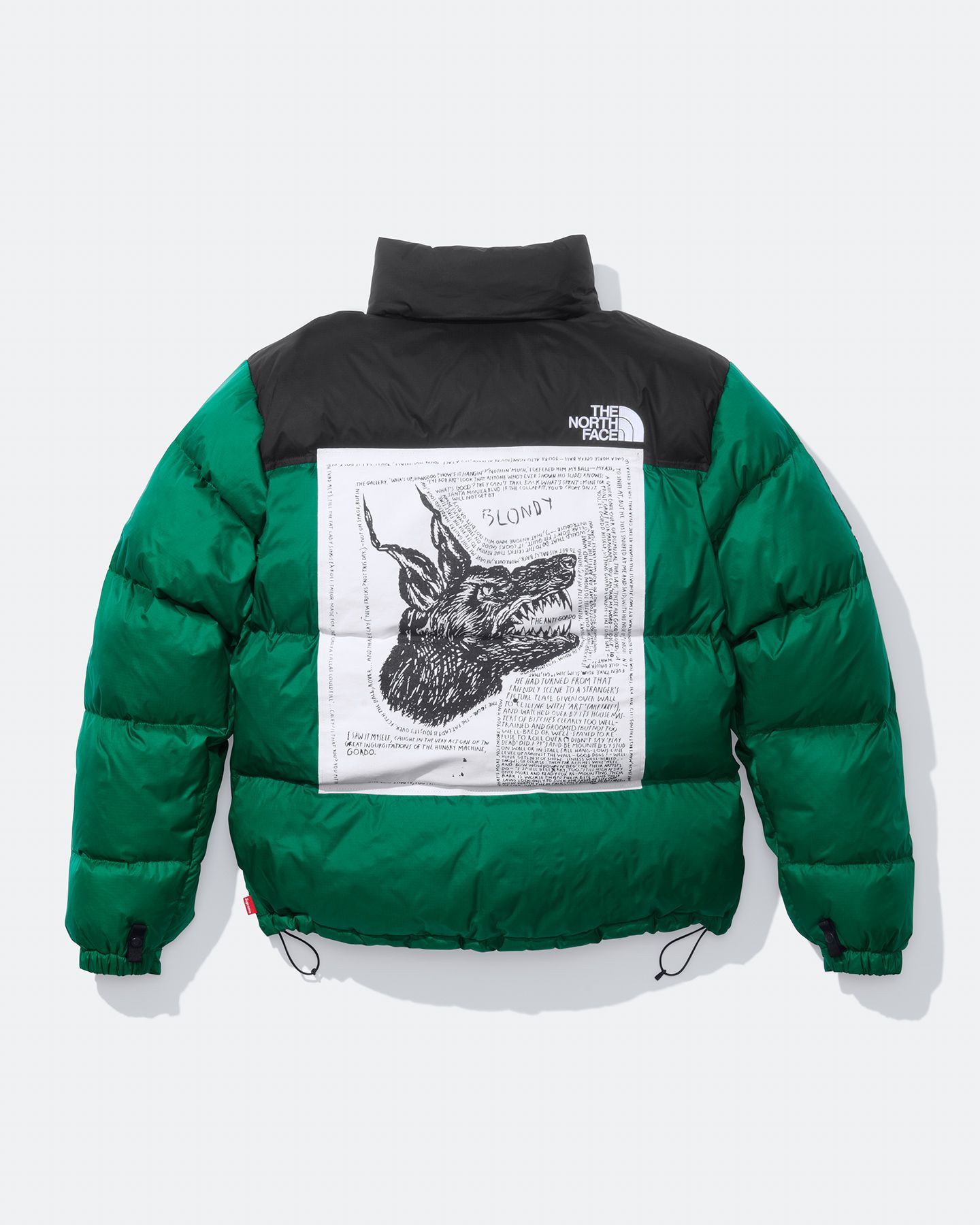 Supreme The North Face News Supreme