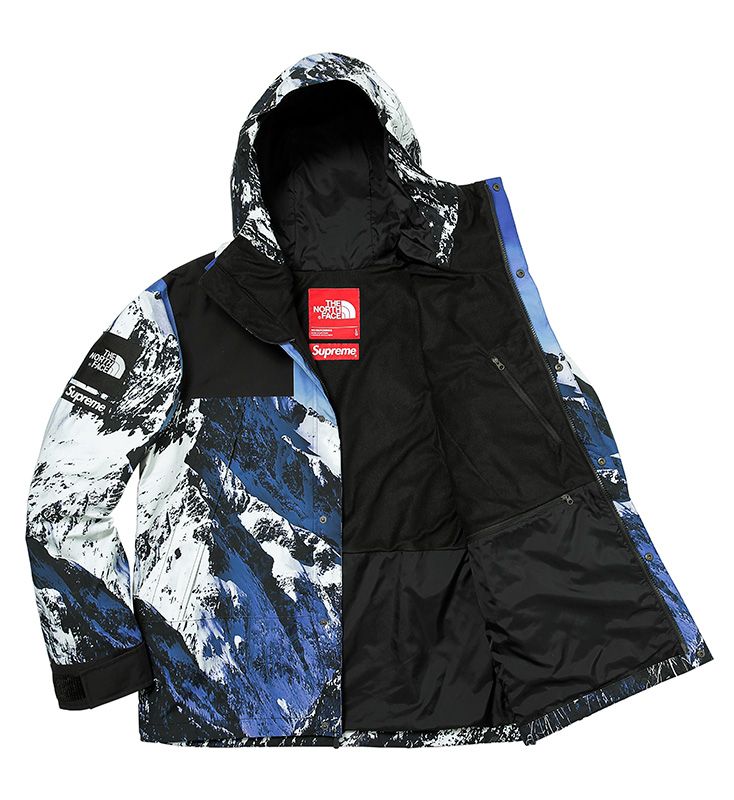 Supreme The North Face Gallery Supreme