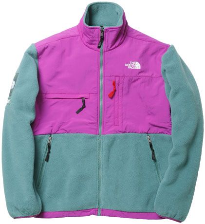 The North Face/Supreme – News – Supreme