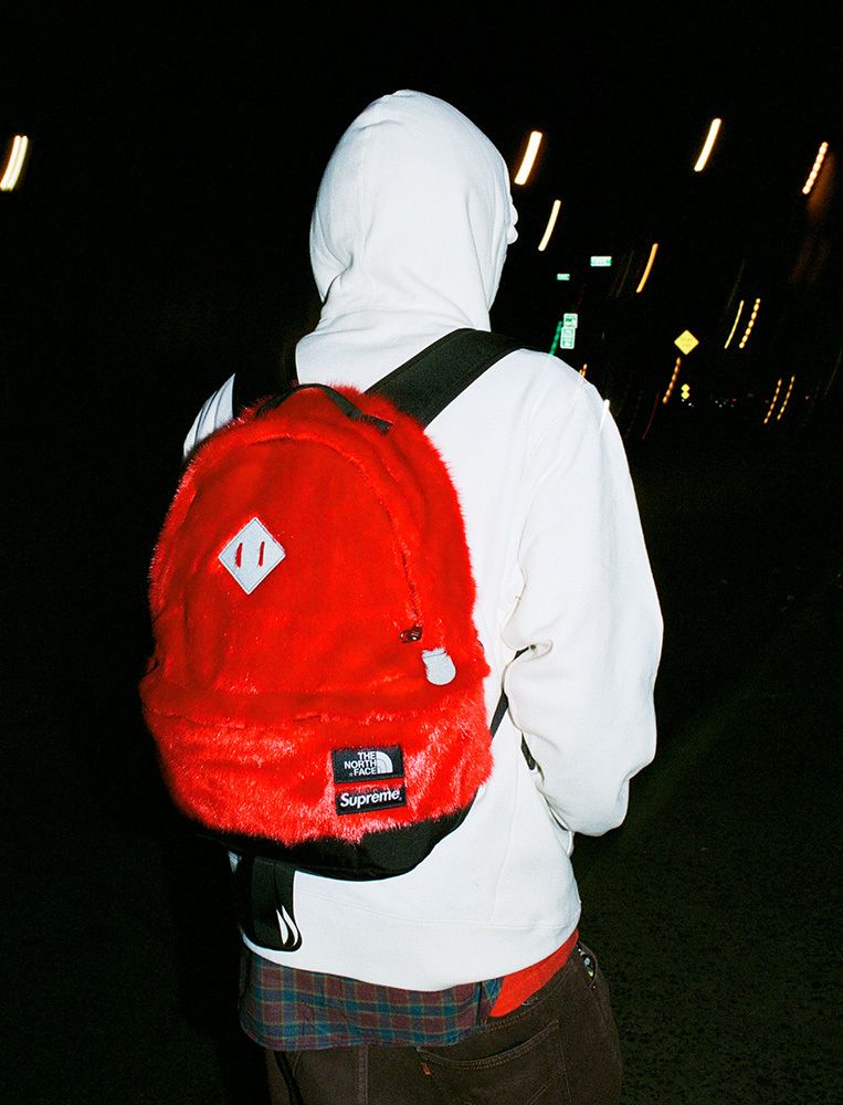 Supreme®/The North Face® – Gallery – Supreme