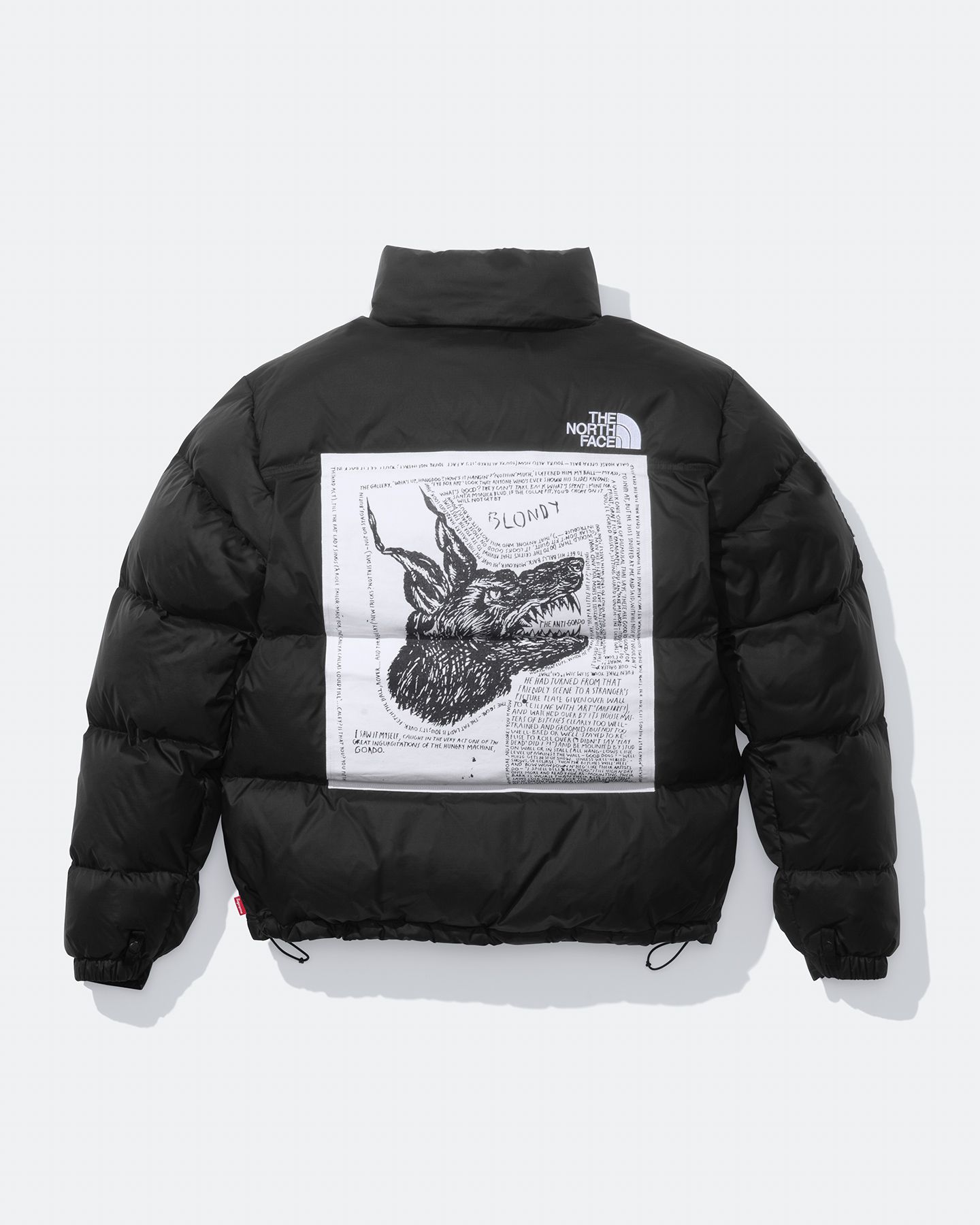 Supreme The North Face News Supreme