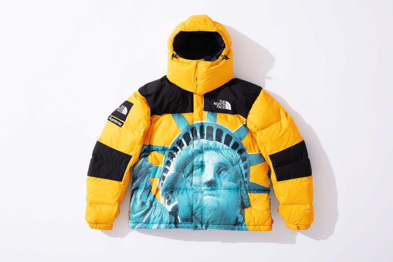 Supreme®/The North Face® – Gallery – Supreme