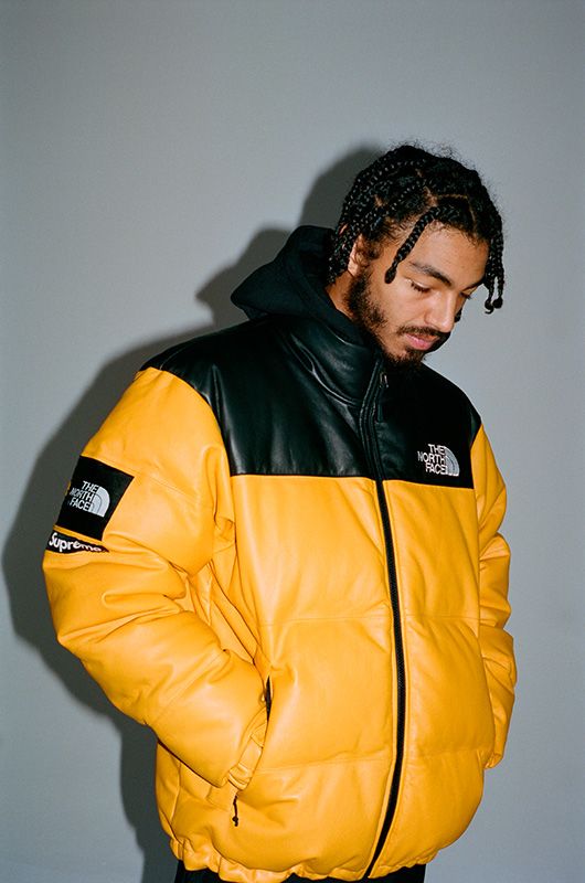 Supreme tnf leather nuptse on sale