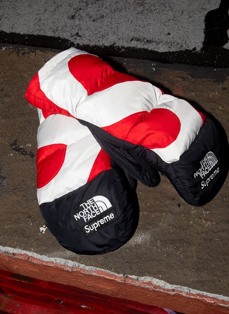 Supreme®/The North Face® – Gallery – Supreme