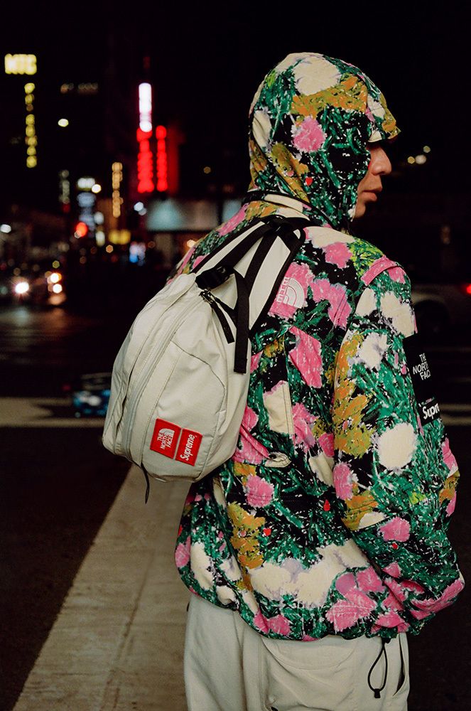 Supreme®/The North Face® – News – Supreme