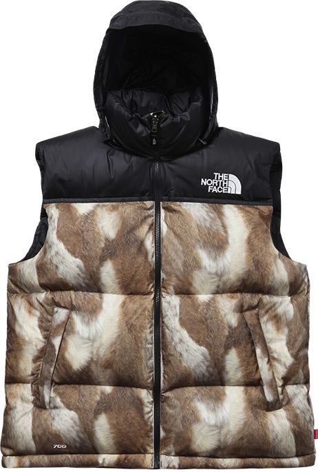 The North Face®/Supreme – News – Supreme