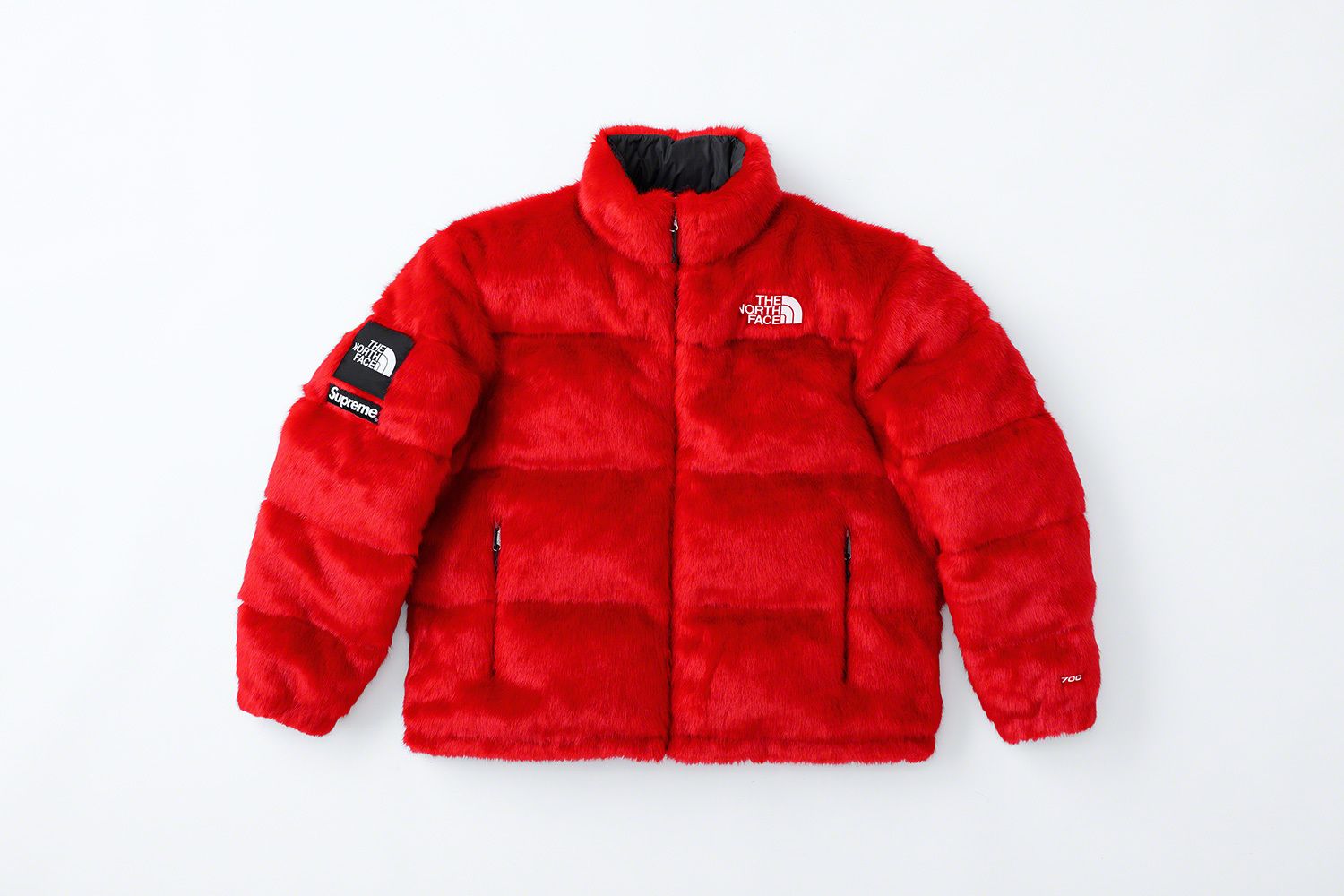 Supreme®/The North Face® – Gallery – Supreme