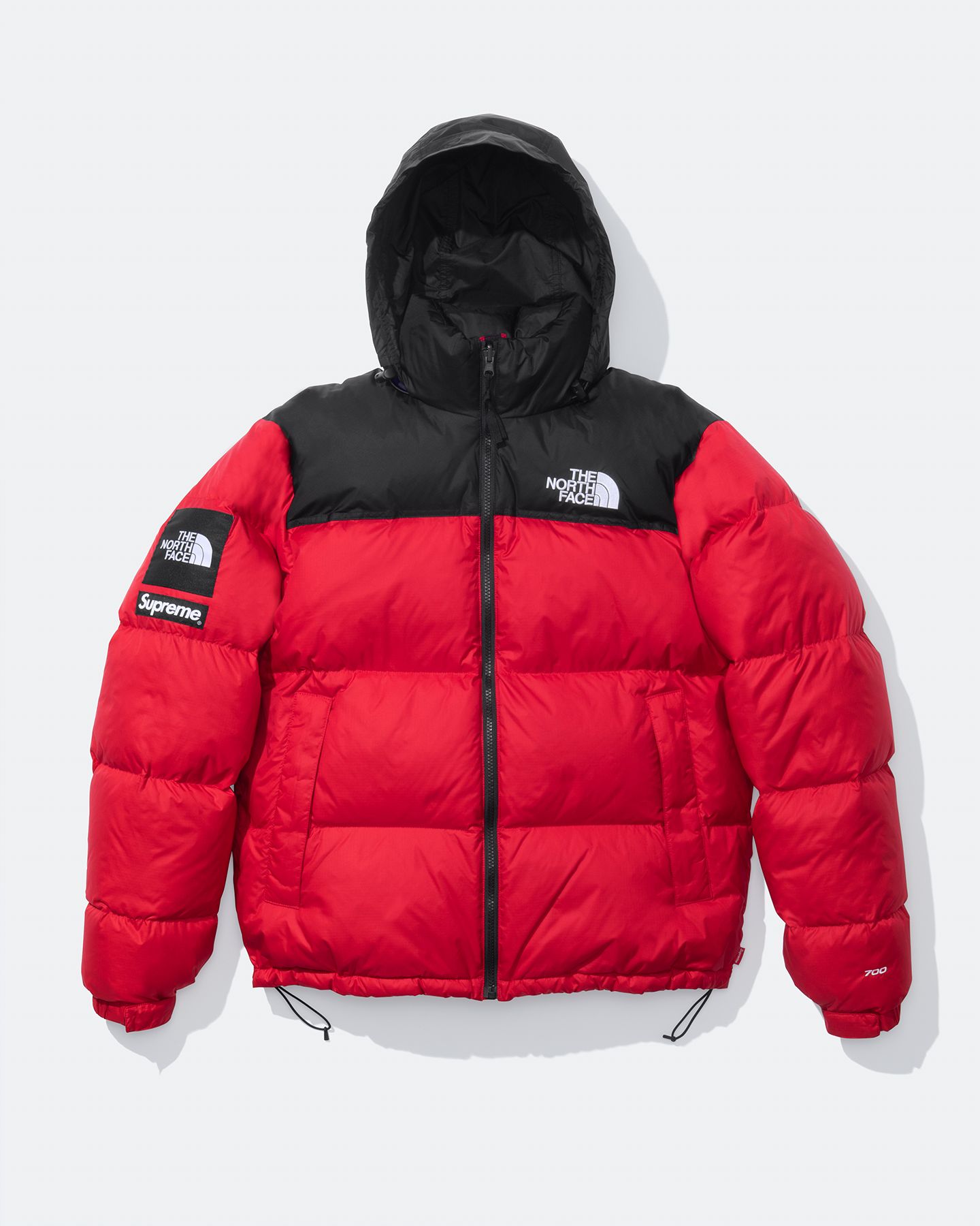 Manteau north face supreme best sale