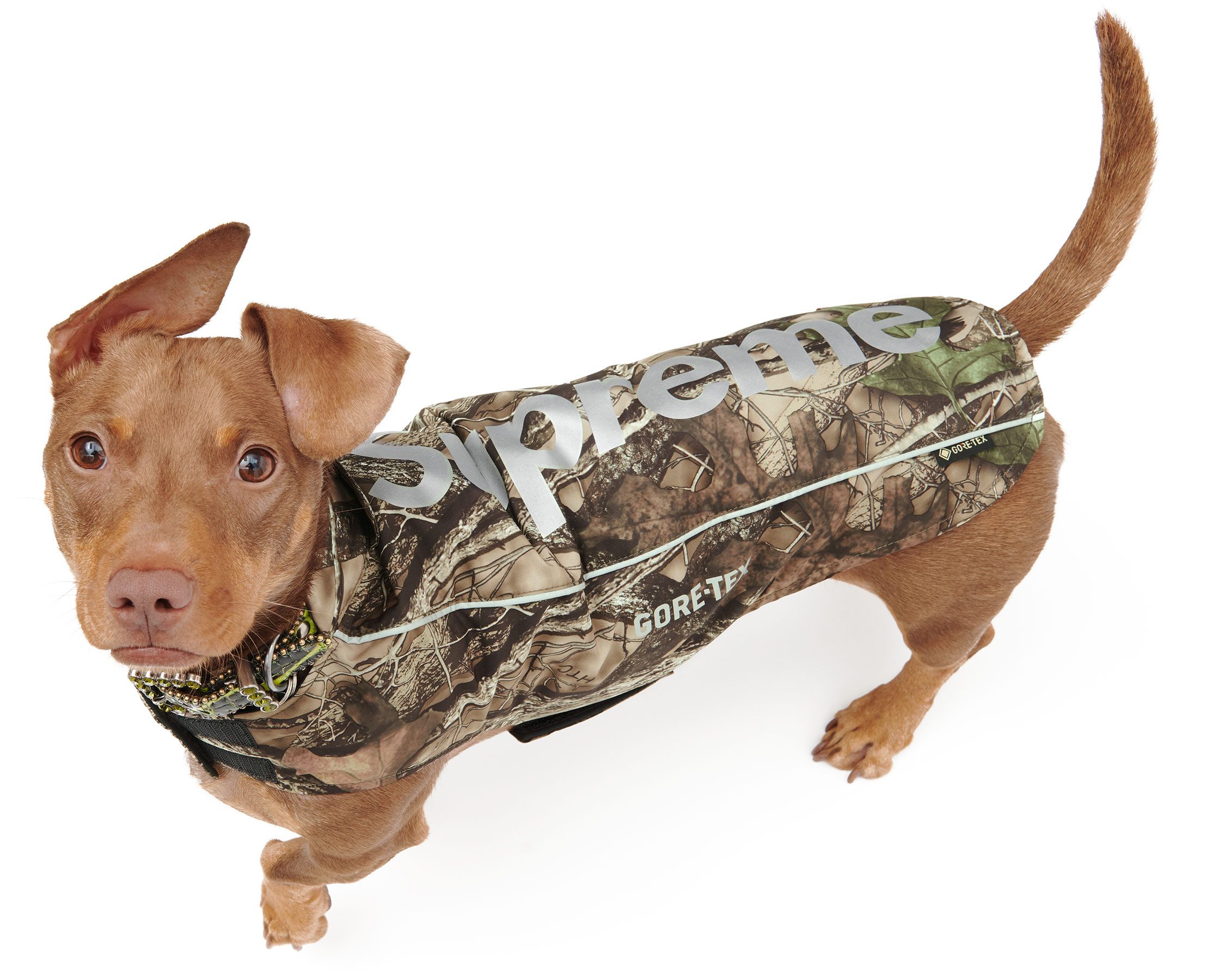 Supreme jacket for dogs on sale