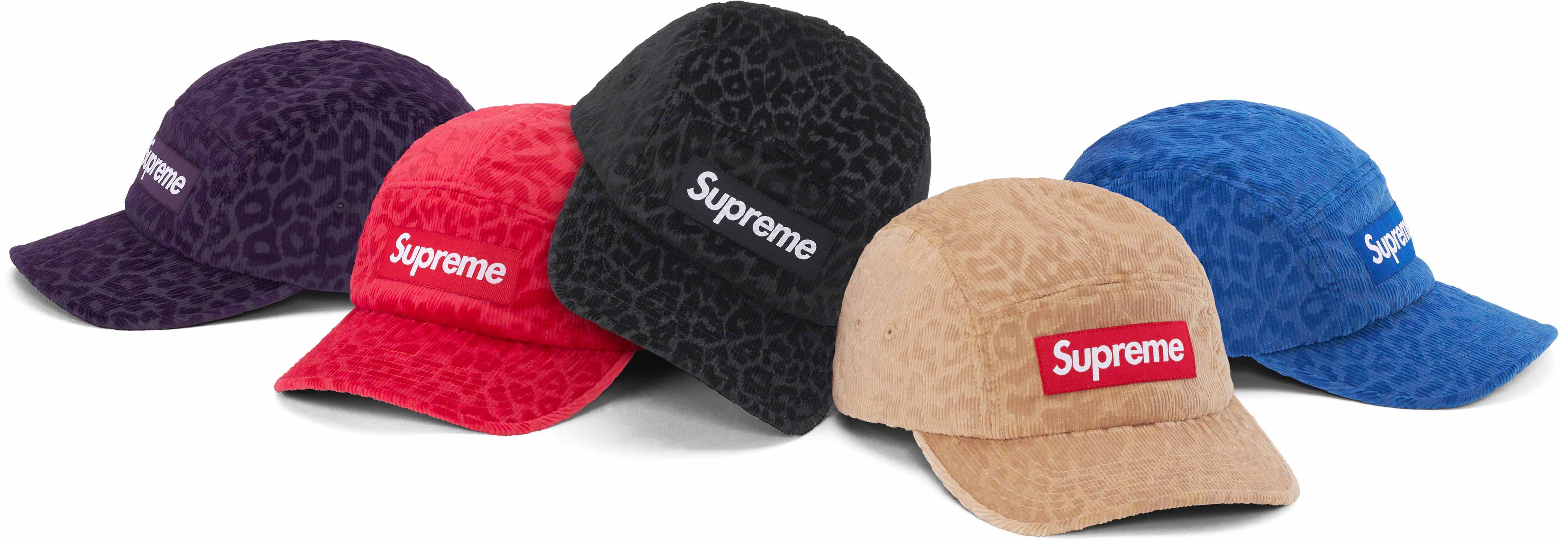 Supreme leopard cap online