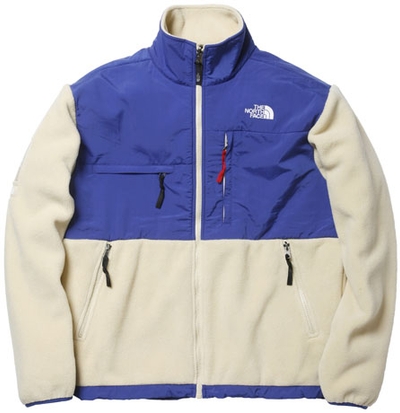 The North Face/Supreme (1)(1 of 4)