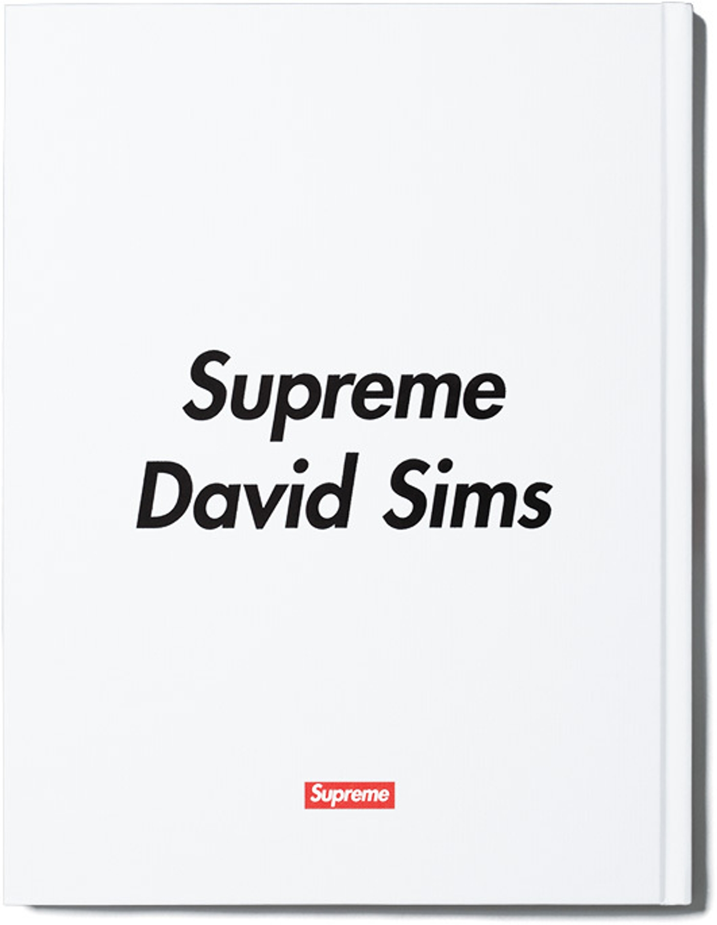 David Sims for Supreme (6) (6/6)