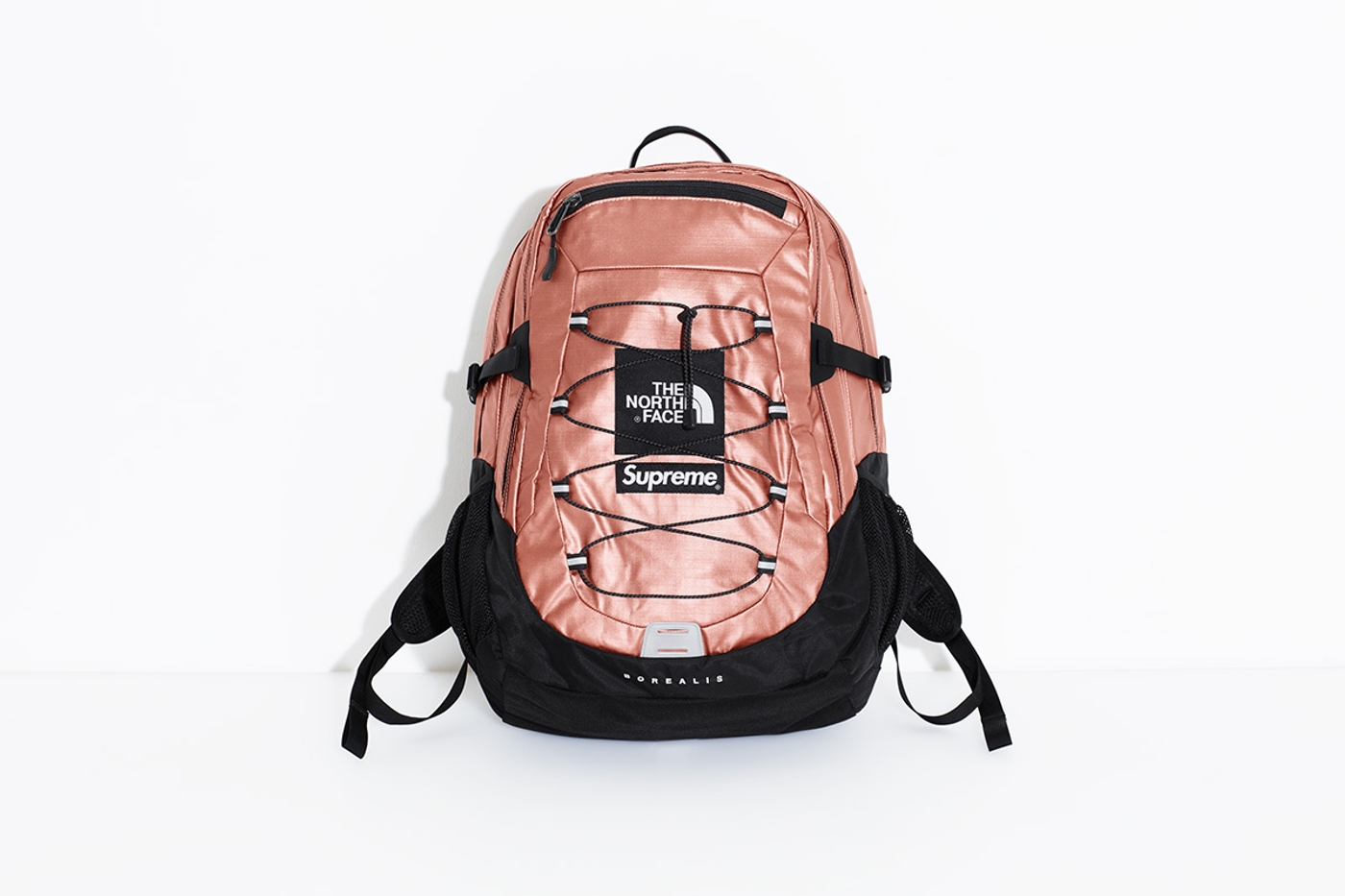 Metallic Borealis Backpack (21/25)