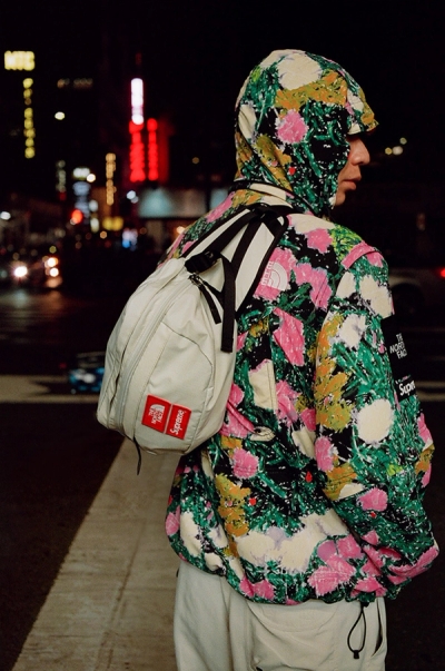 Supreme®/The North Face® (1)(1 of 62)
