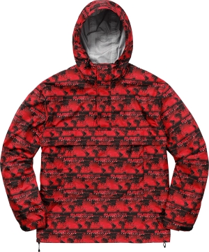World Famous Taped Seam Hooded Pullover