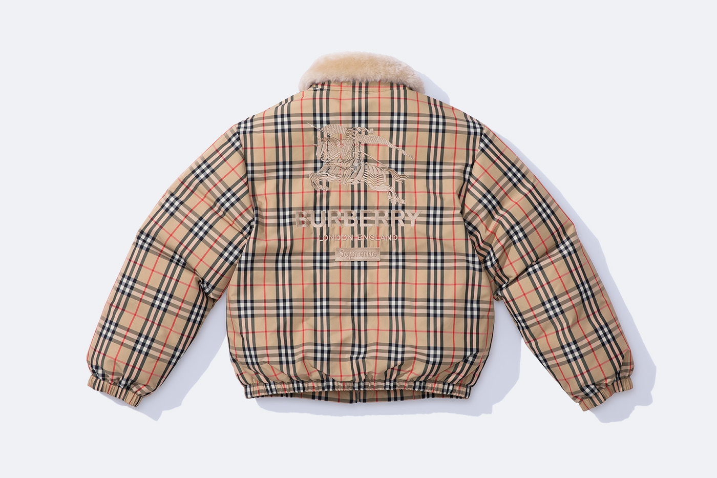 Shearling Collar Down Puffer Jacket (32/82)
