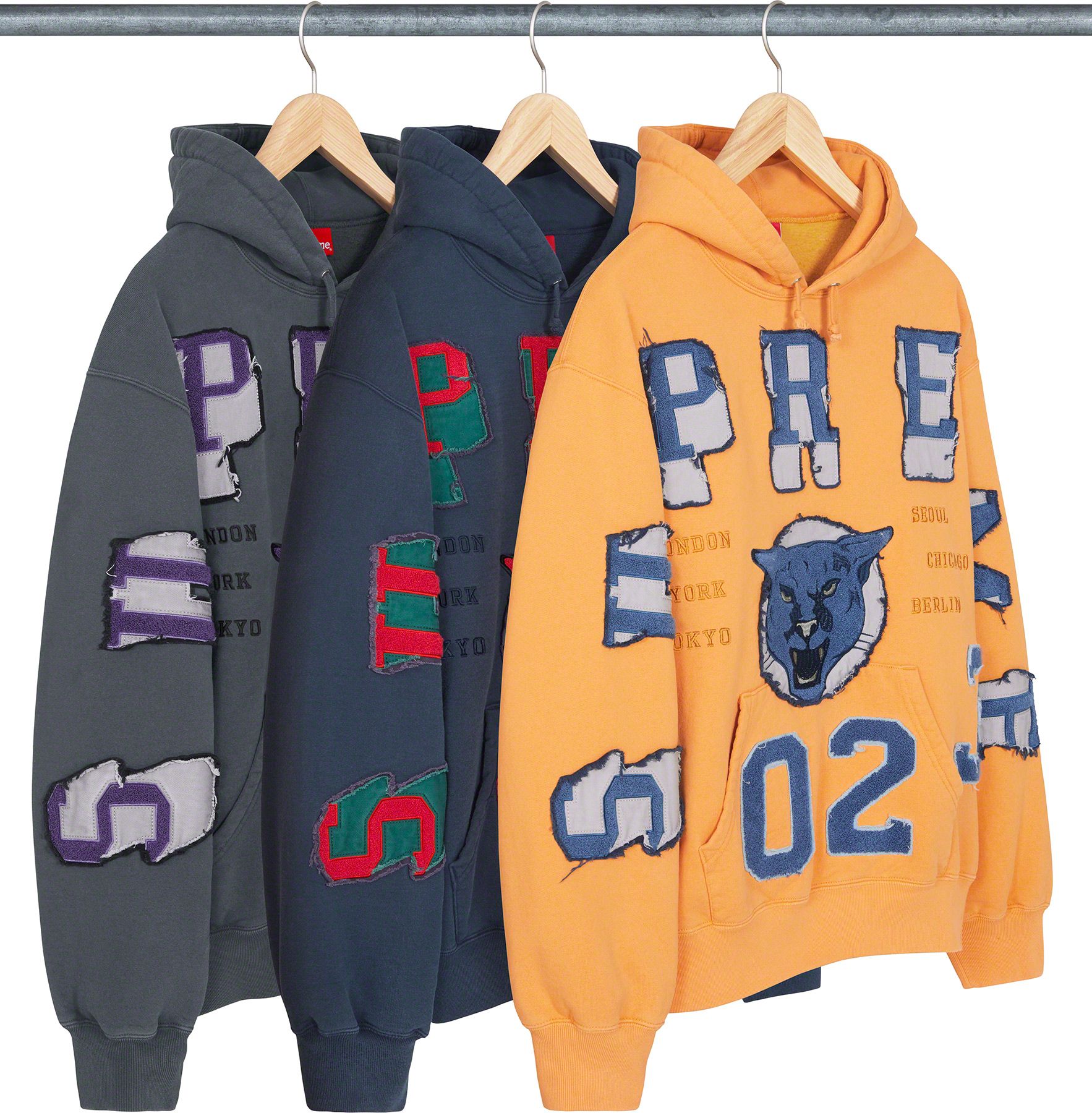 Washed Panther Hooded Sweatshirt - Fall/Winter 2023 Preview – Supreme
