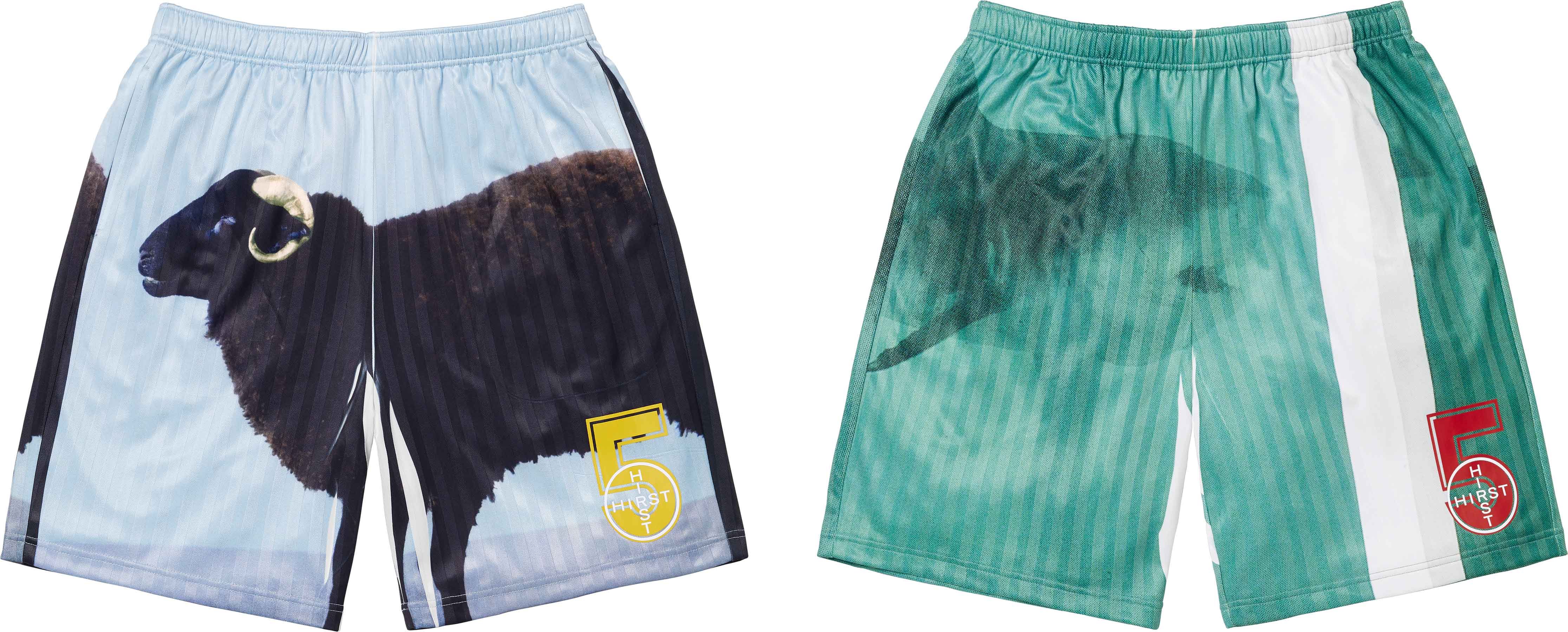 Supreme/Damien Hirst Soccer Short - Shop - Supreme