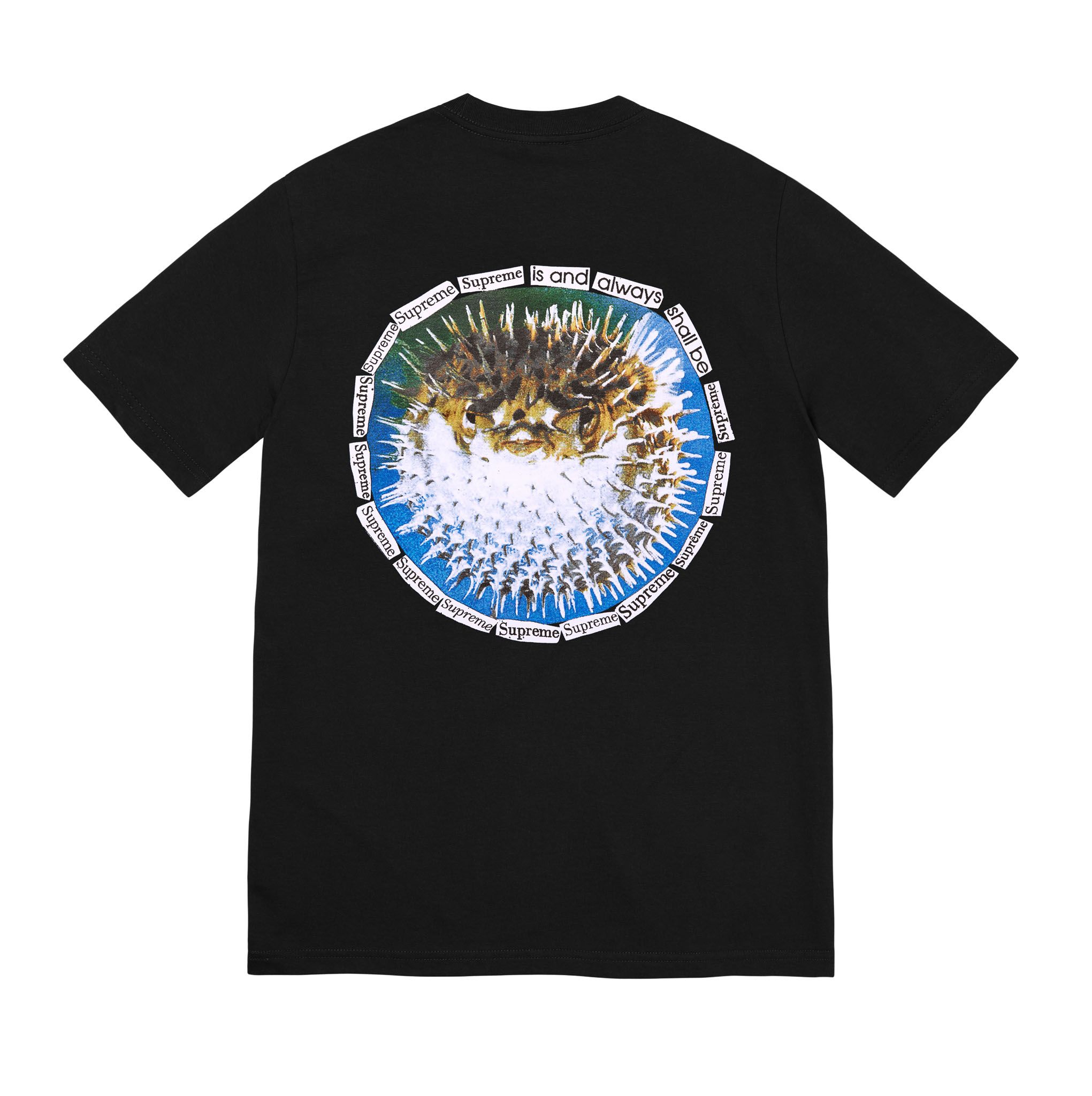 Supreme Summer Tees – Gallery – Supreme