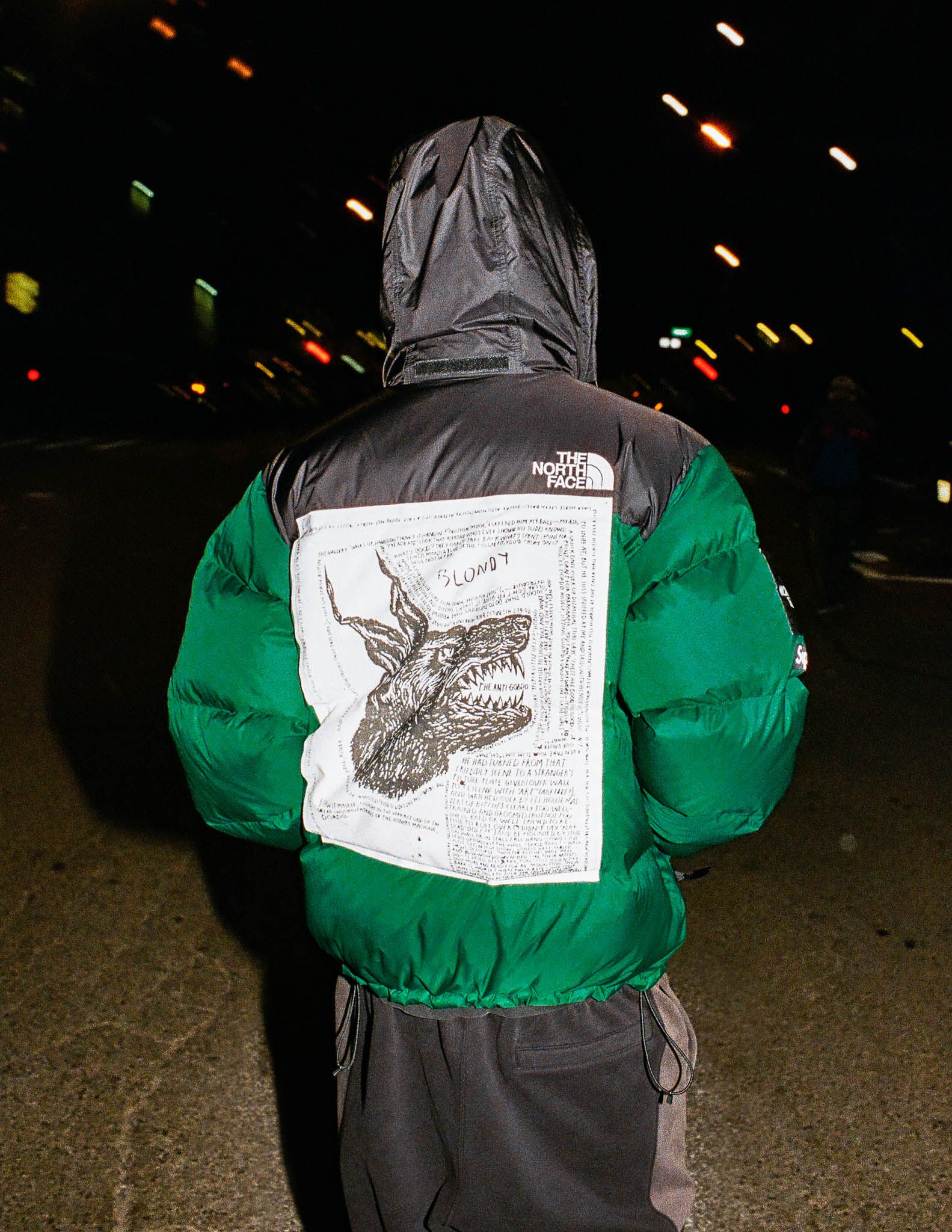 Supreme®/The North Face® – Gallery – Supreme