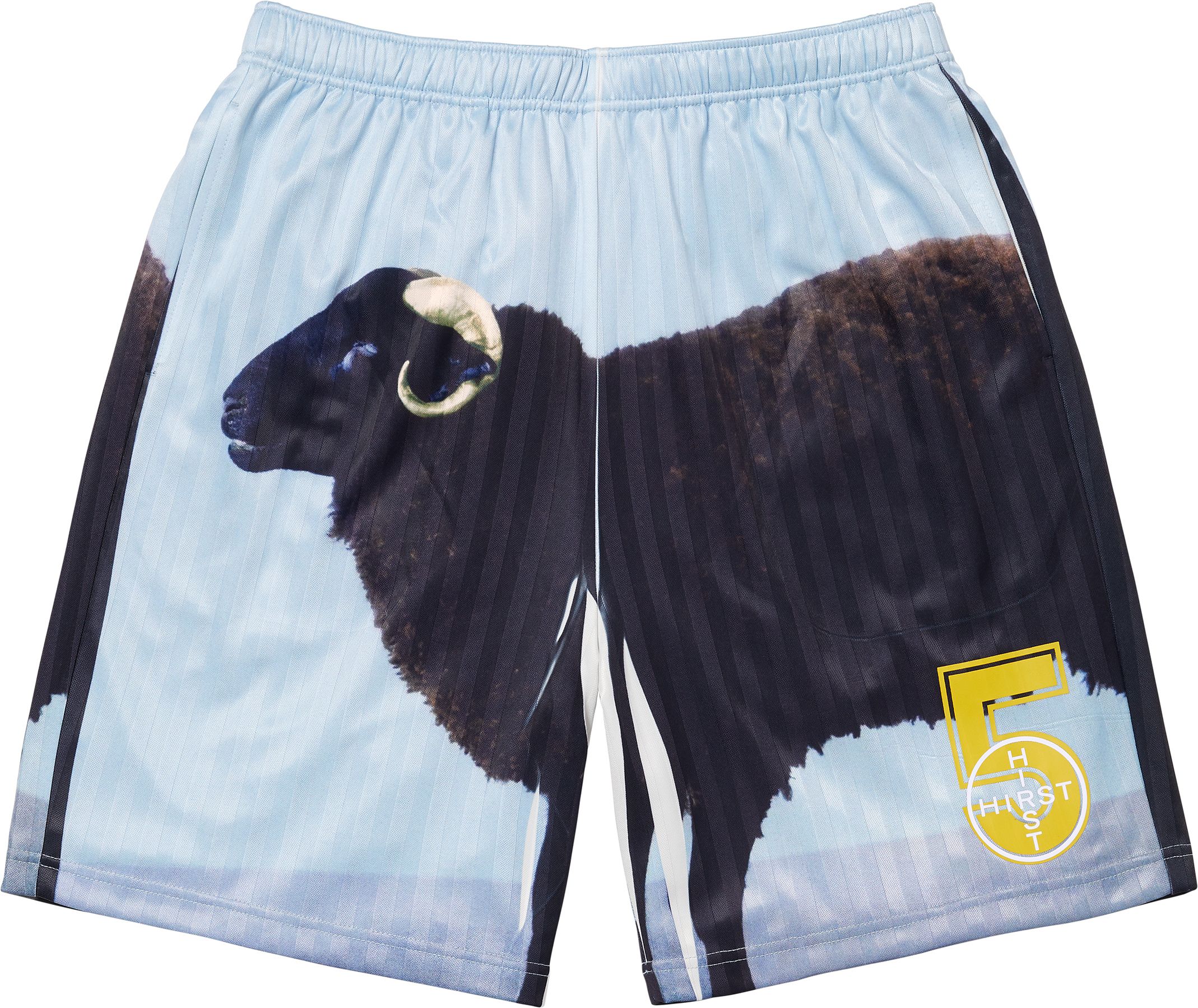 Supreme Damien Hirst Soccer Short (SS25) - $128