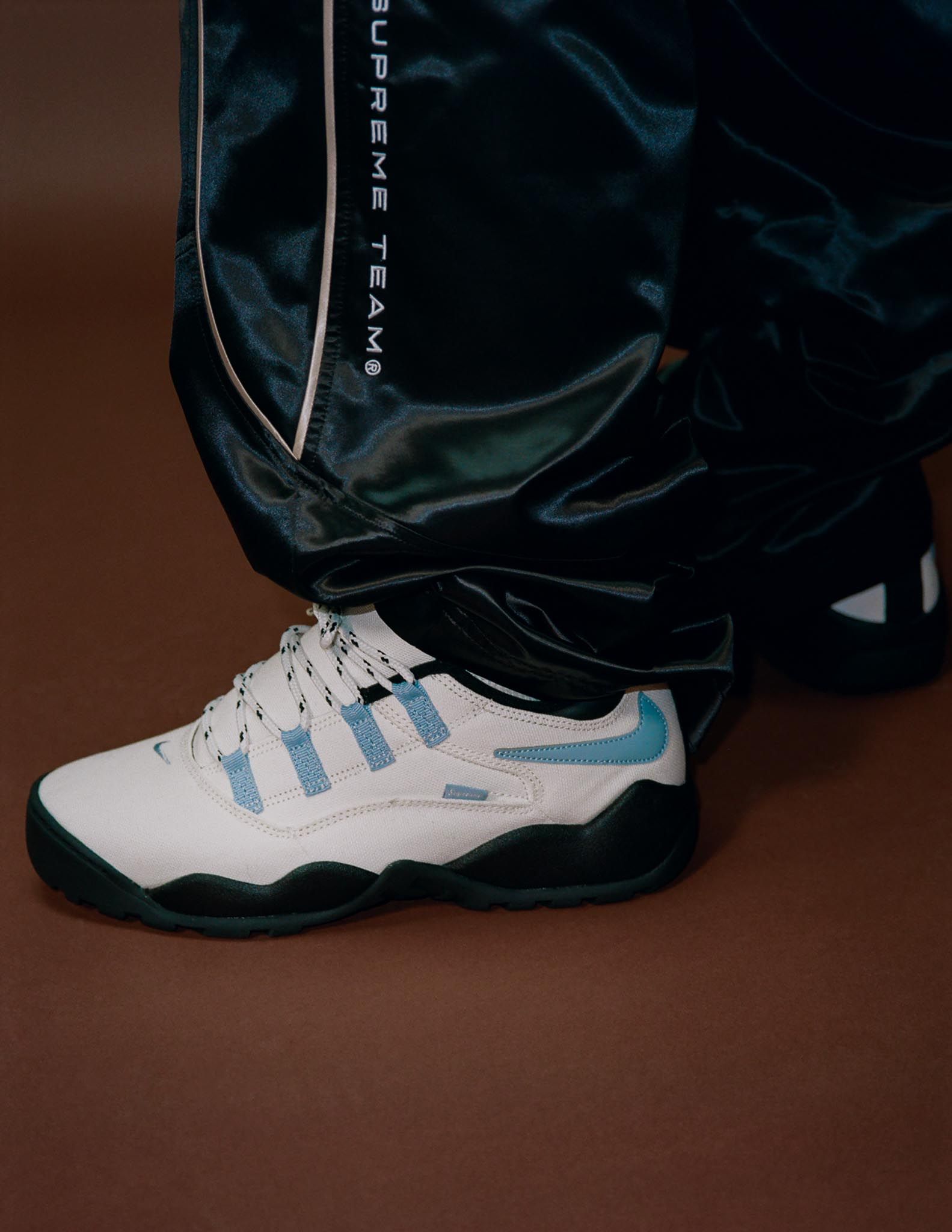 Supreme®/Nike SB Darwin Low – News – Supreme