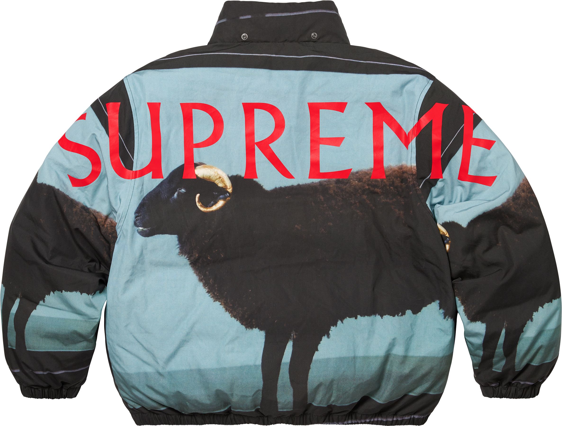 Spring/Summer 2025 Preview – Supreme