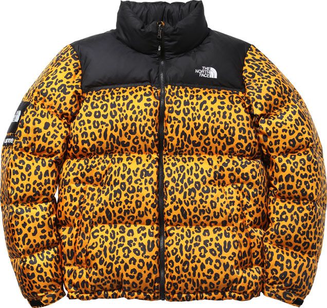 The North Face®/Supreme – News – Supreme