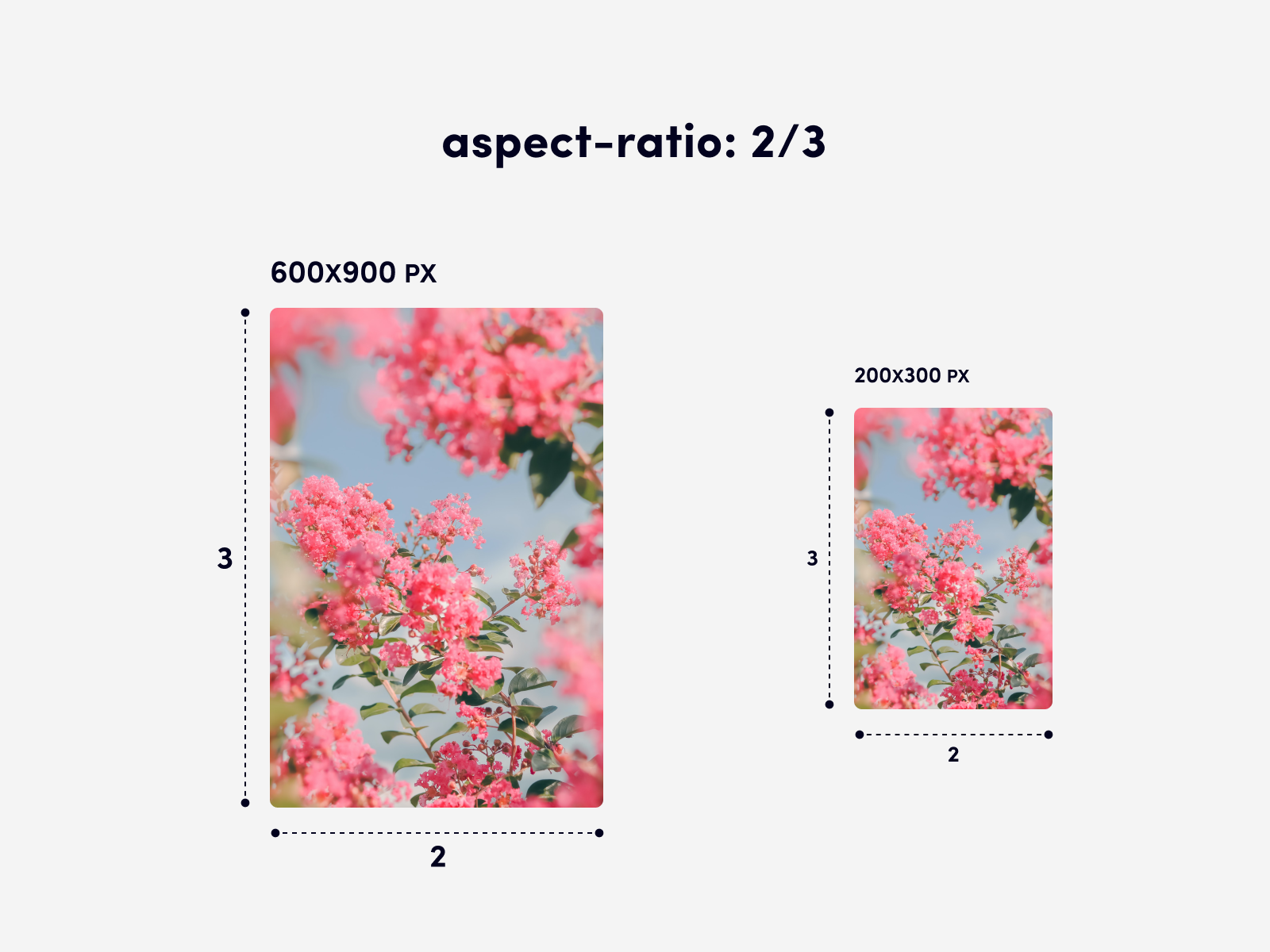 Here you can see two blocks with the same aspect ratio. One is 600 x 900 pixels, and the other is 200 x 300 pixels — with both having a 2:3 aspect ratio
