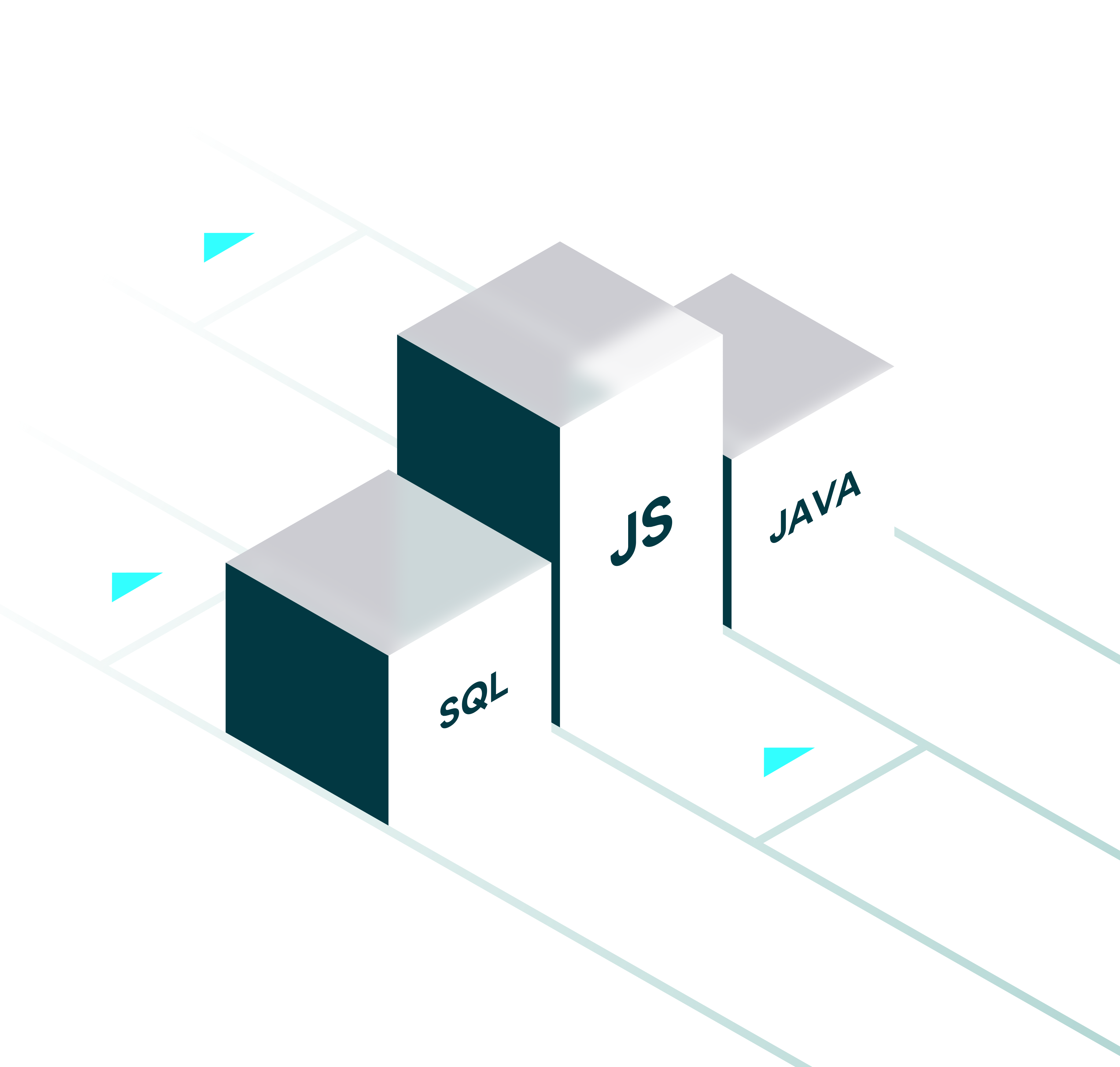 Top 20 Programming Languages Trends in 2022 | Halo Lab