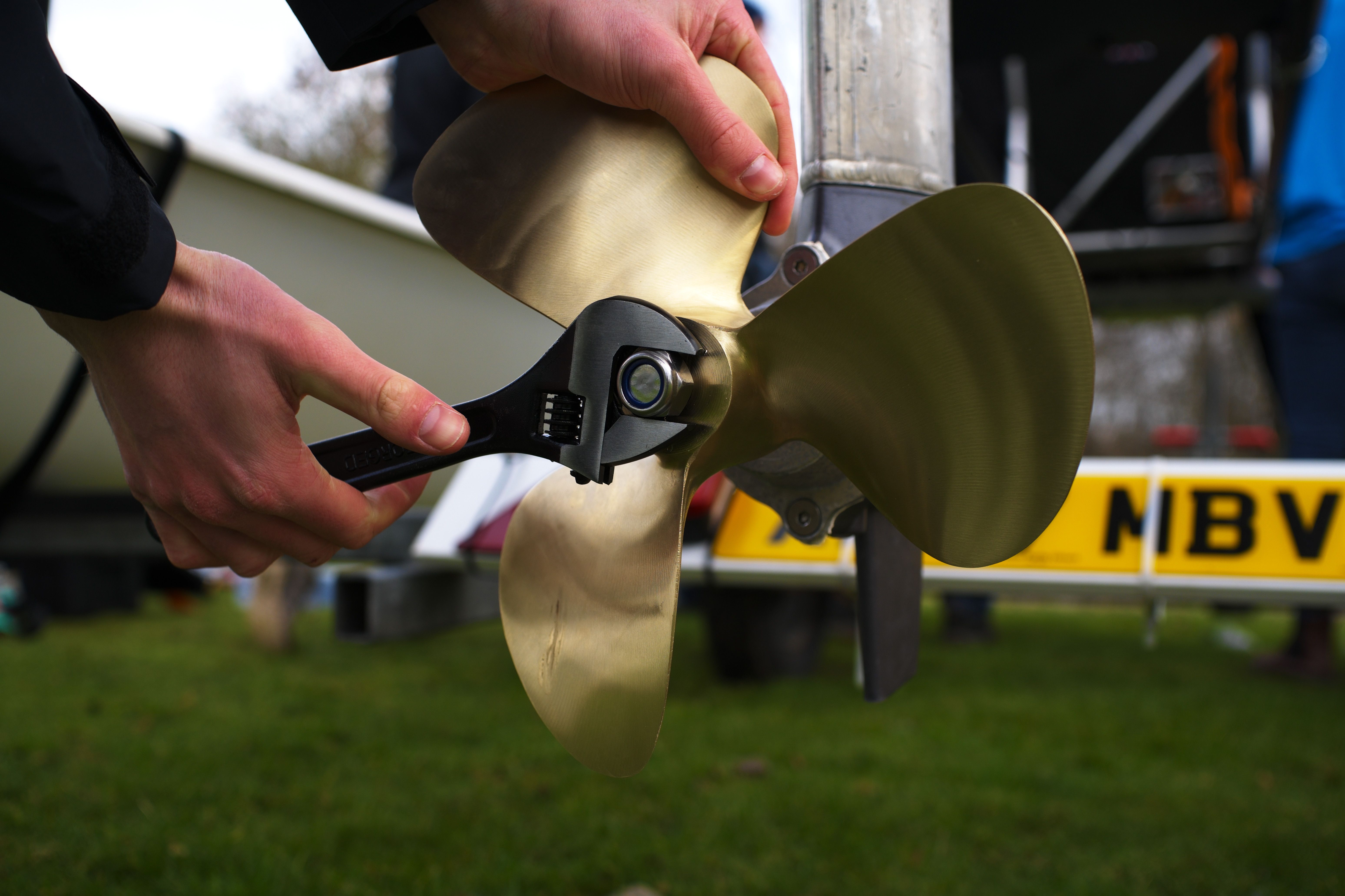 Newsletter - Feb 2026