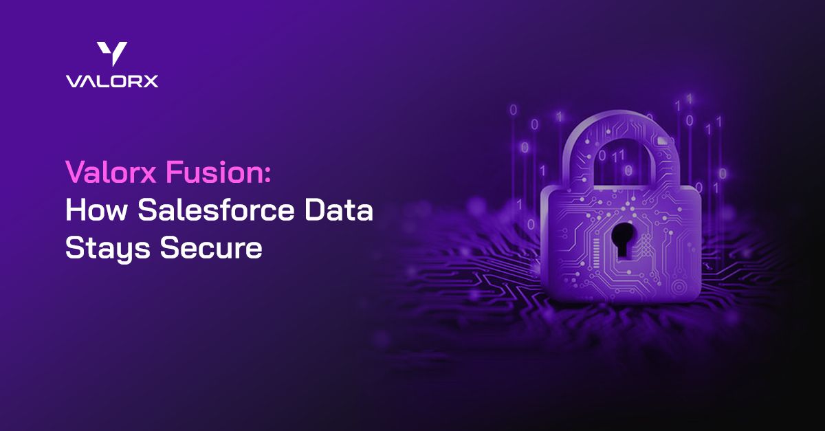 How Valorx Ensures your Salesforce Data is Secure
