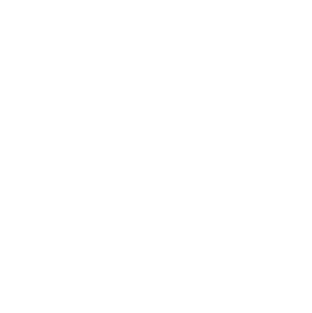 vsp-vision