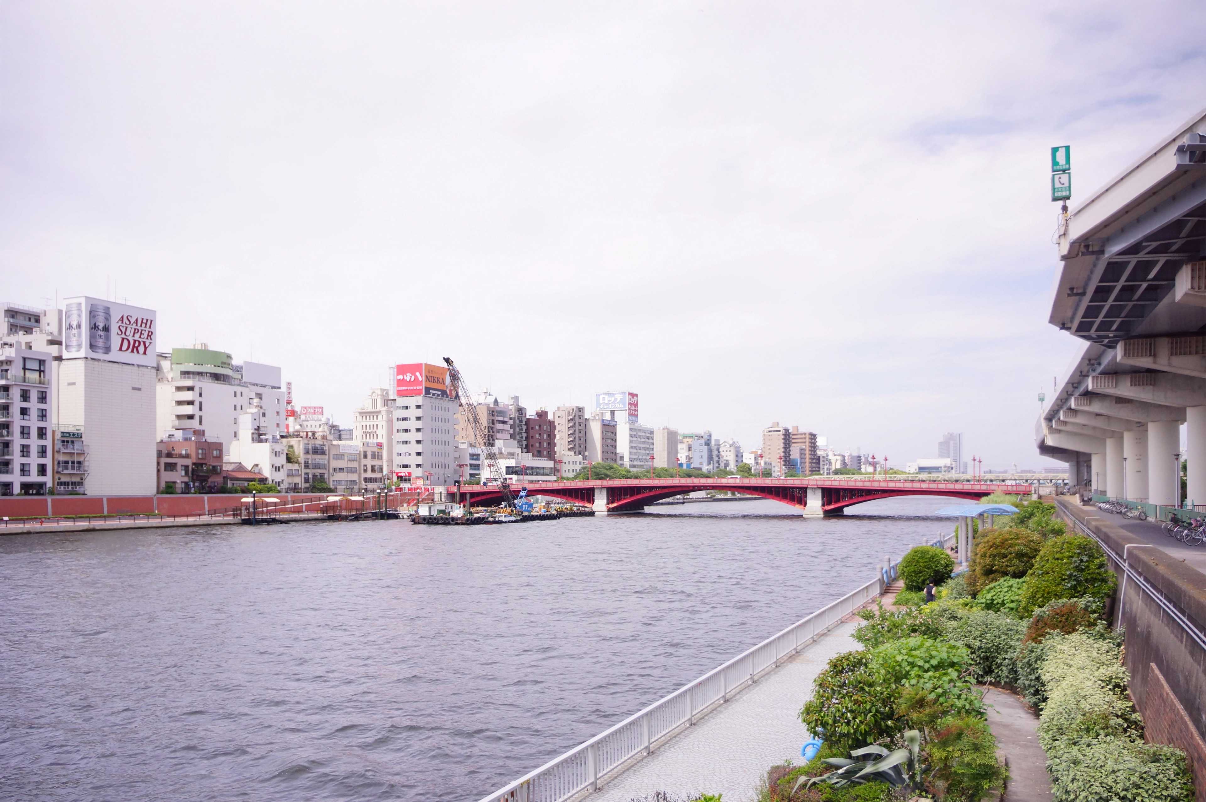 [COLUMN] #211 水辺で生きる 