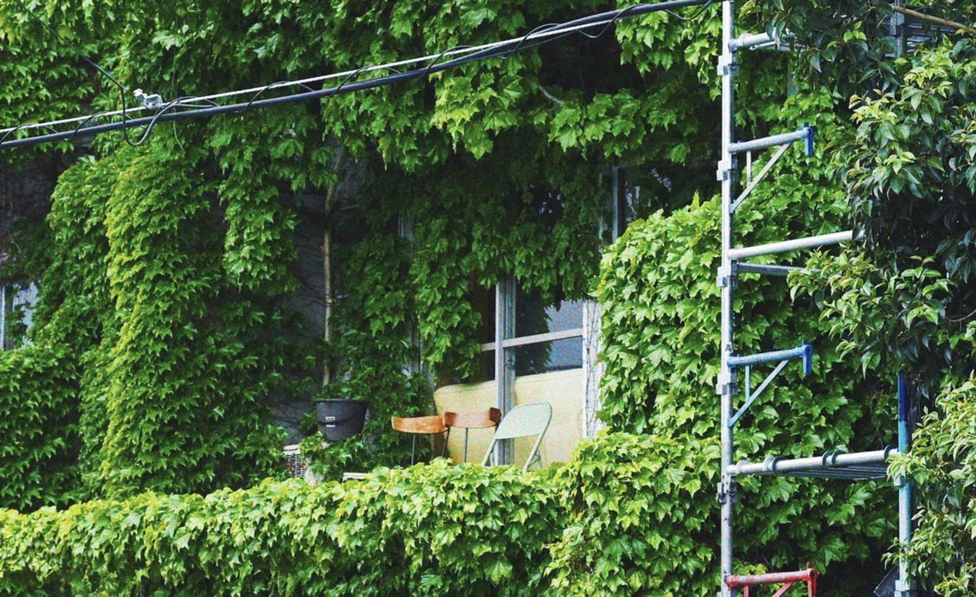 Memories of Rainy Season (Correction)