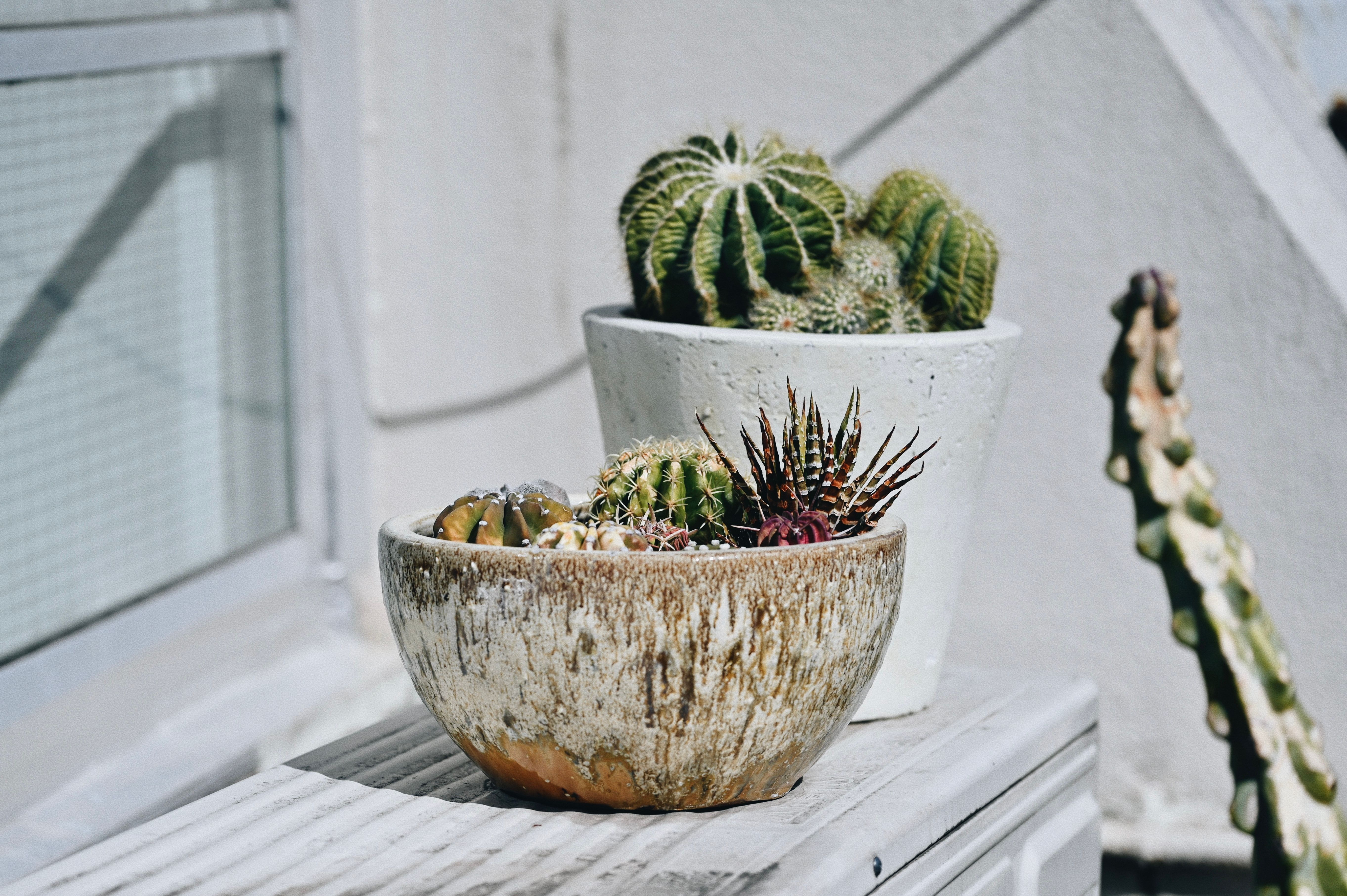 COLUMN] #173 自得其楽 -ジトクソノタノシミ- | Magazine — MIDORI.so