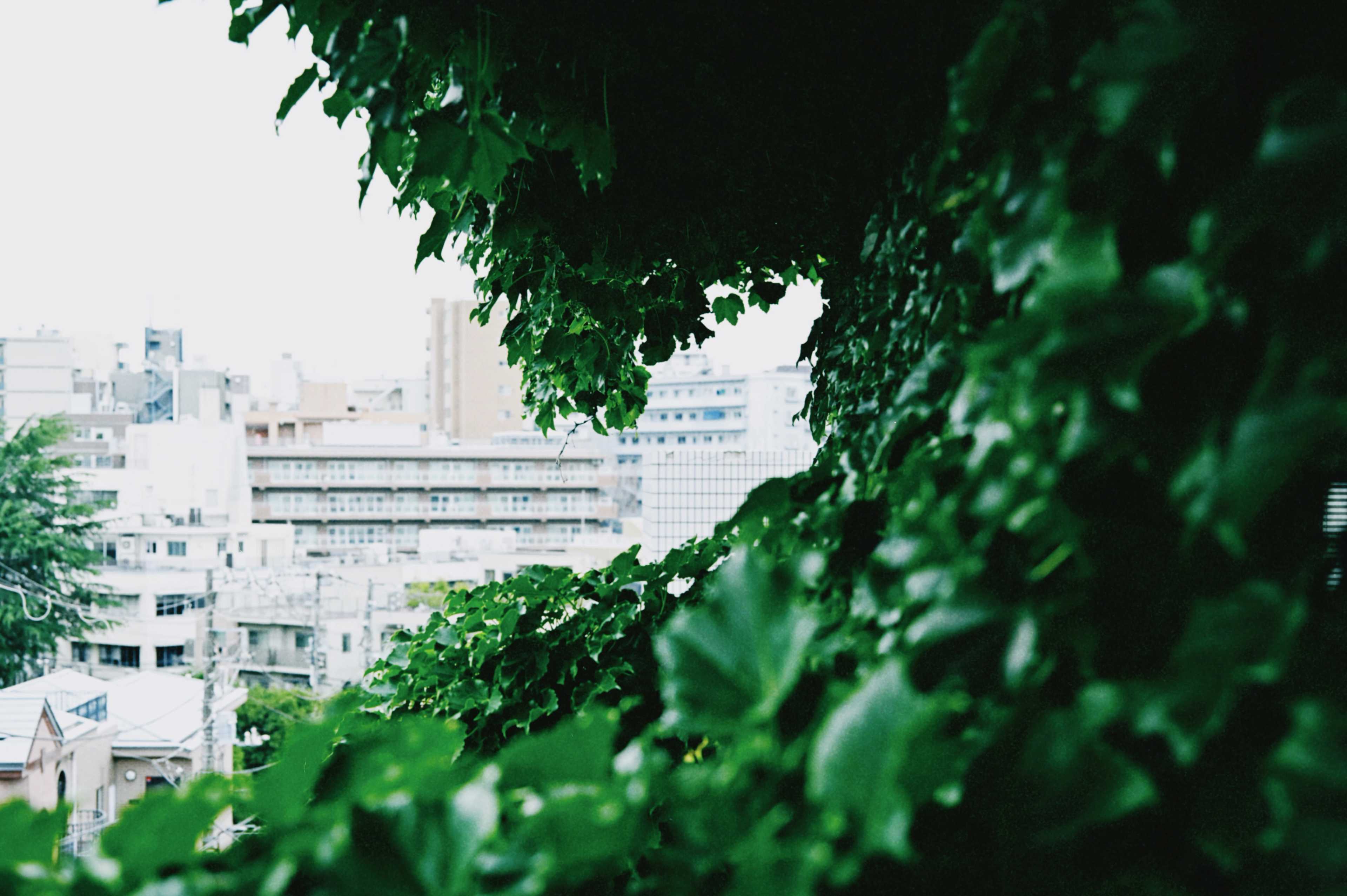 [COLUMN] #189 夏が来る