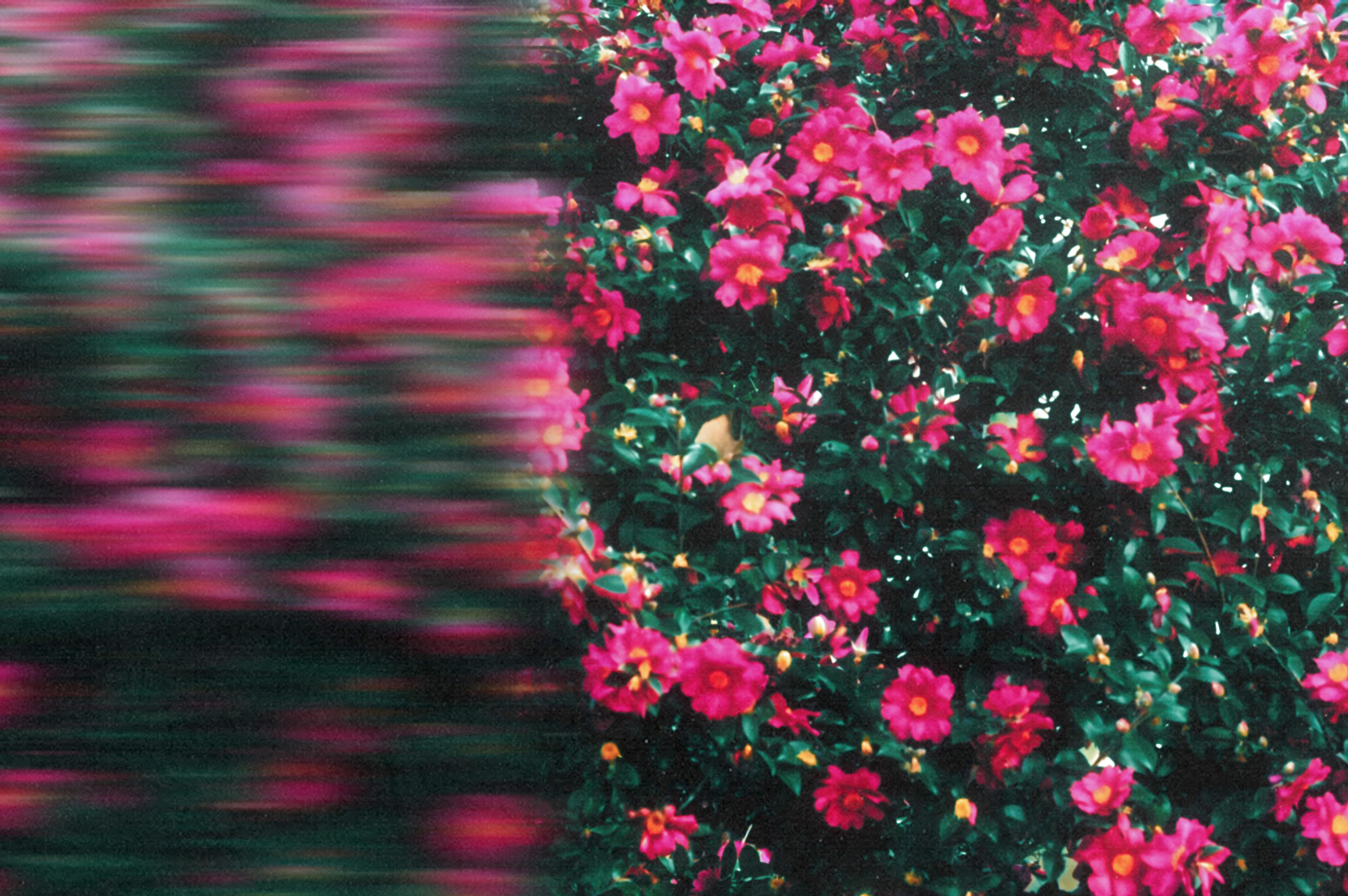 225