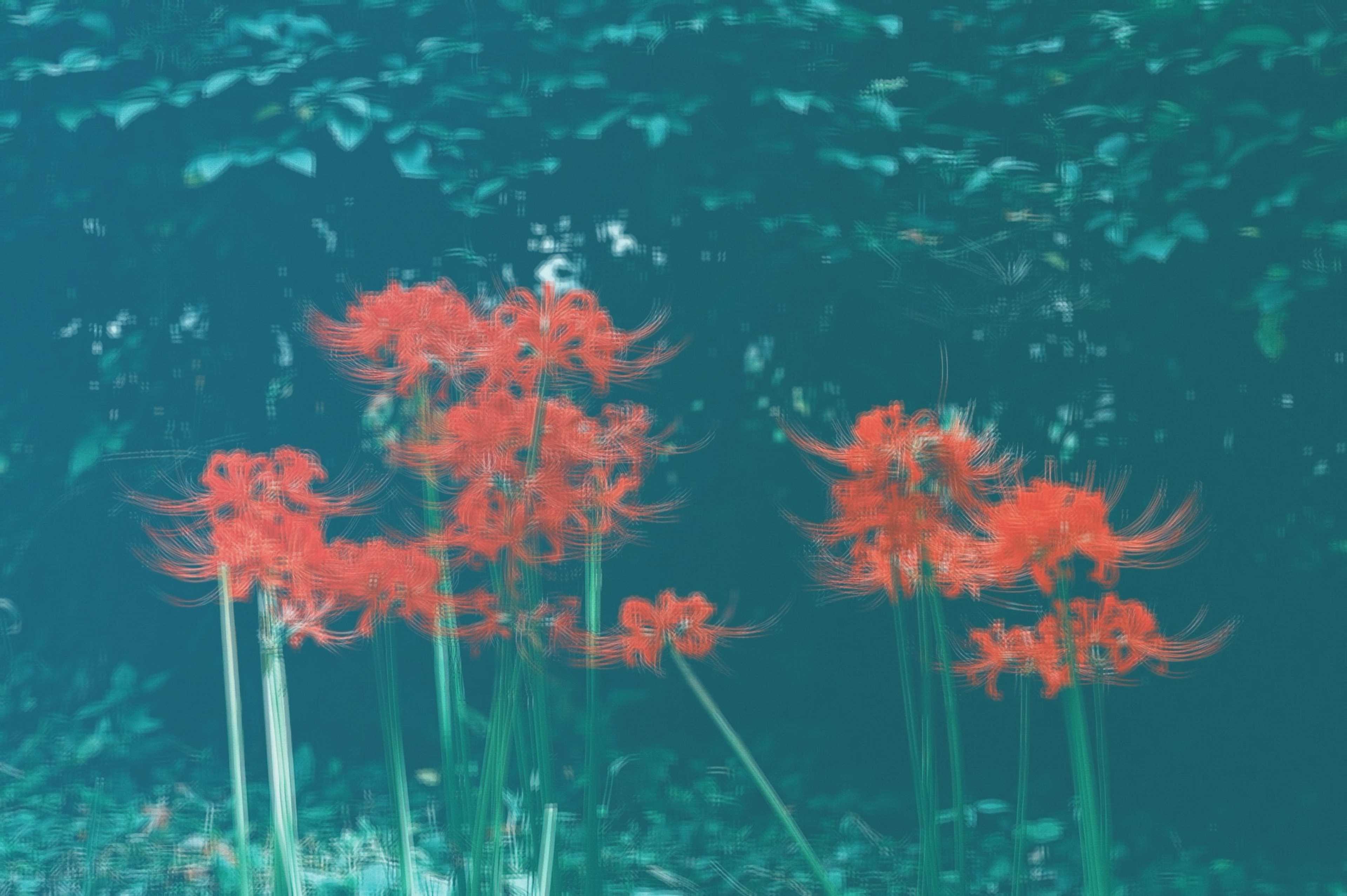 [COLUMN] #204 齢三十一。生まれてこの方、ずっと反抗期