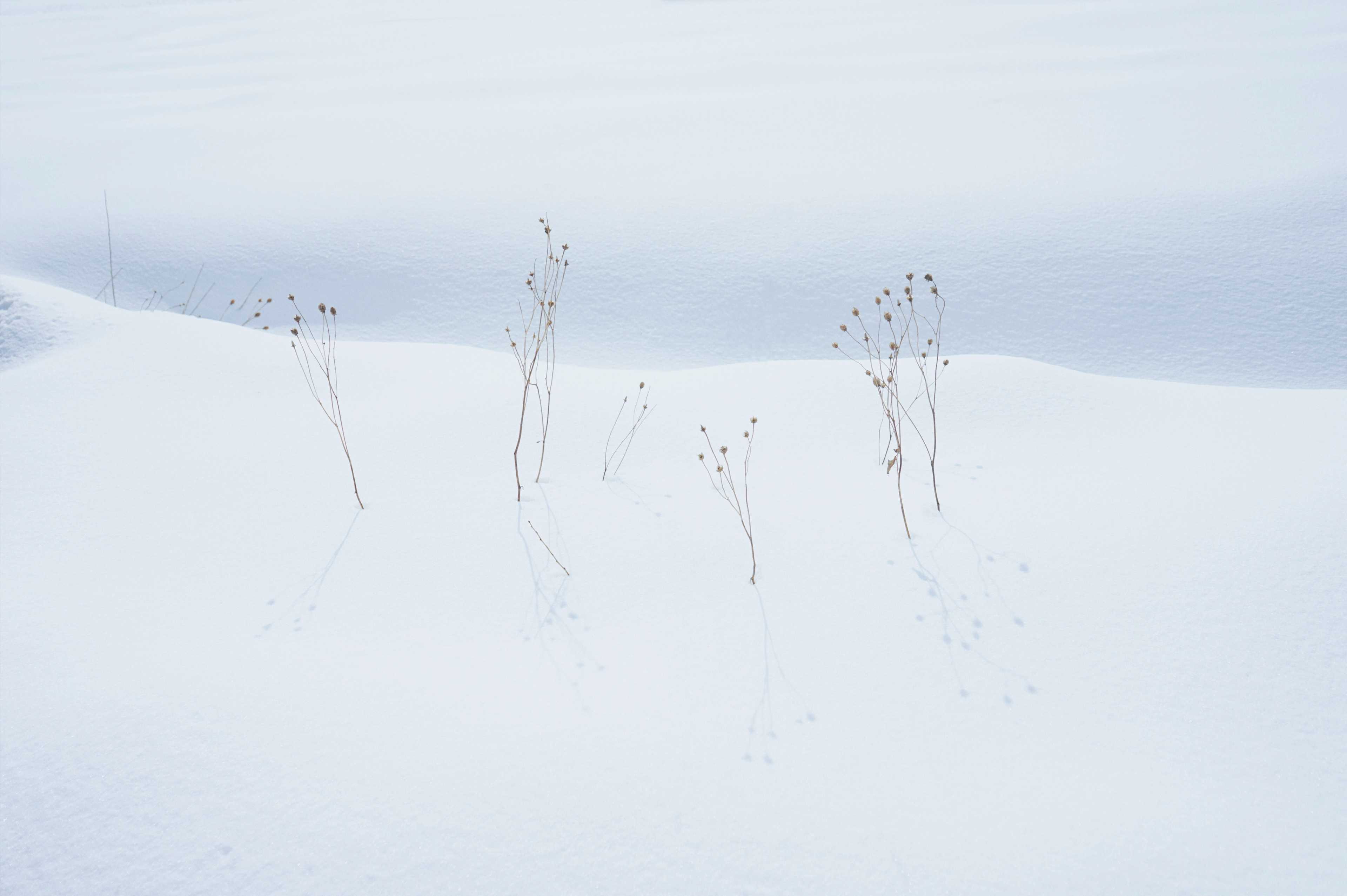 [COLUMN] #217 未来地図