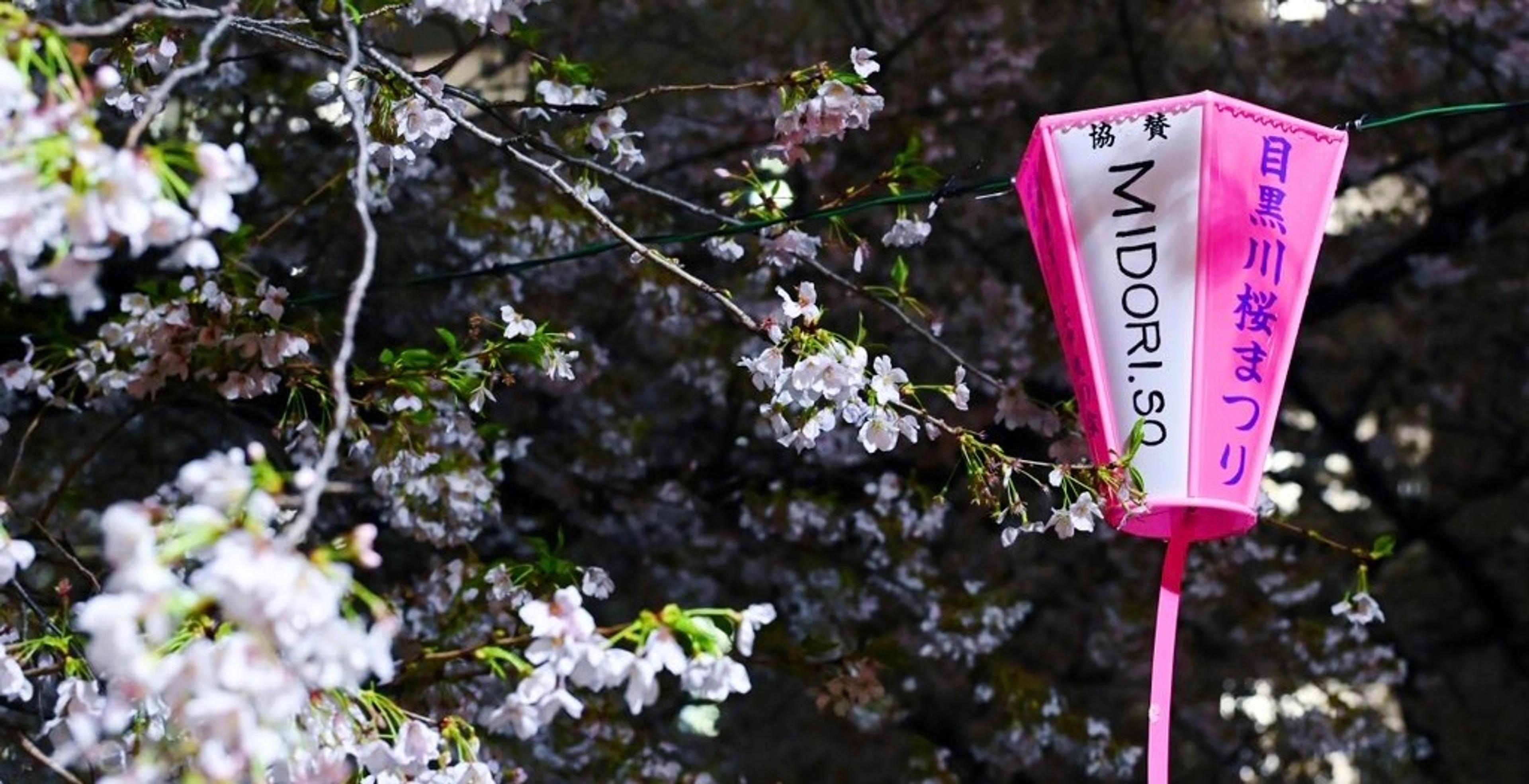 Nothing is Permanent