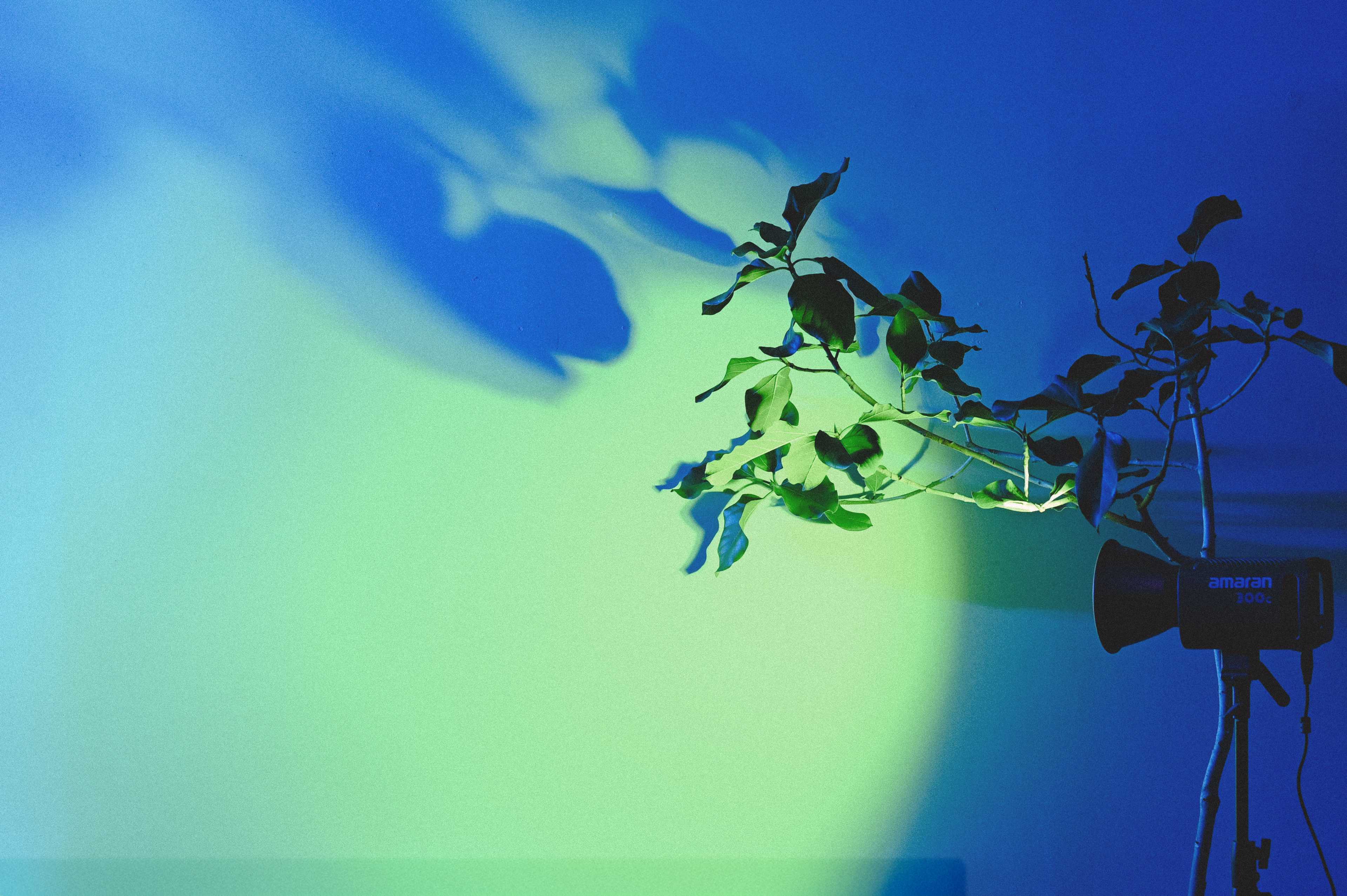 [COLUMN] #200 無痛では得られないもの 