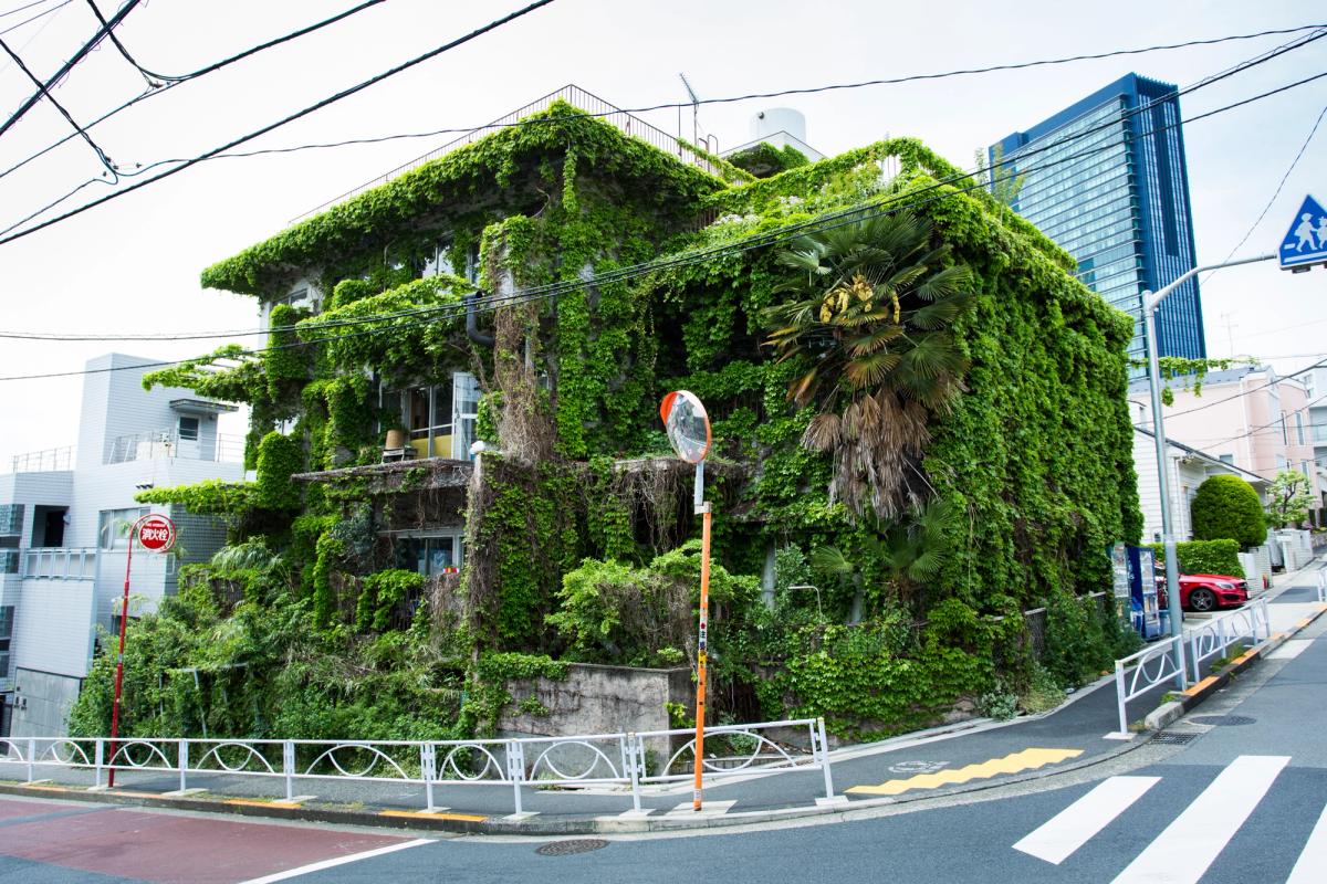 MIDORI.so Nakameguro