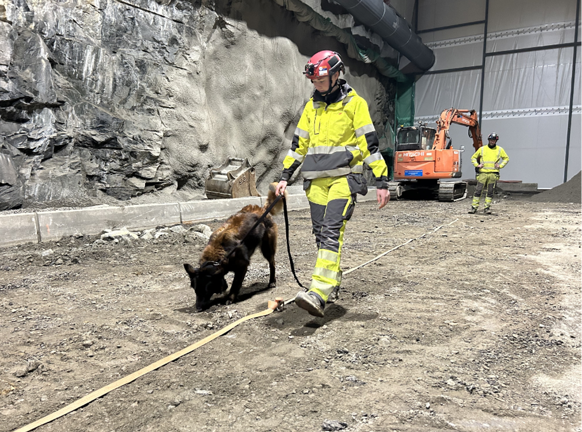 Person i gul refleksbekledning og rød hjelm som går med søkehund i en tunnel, med gravemaskin og annen arbeider i bakgrunnen.