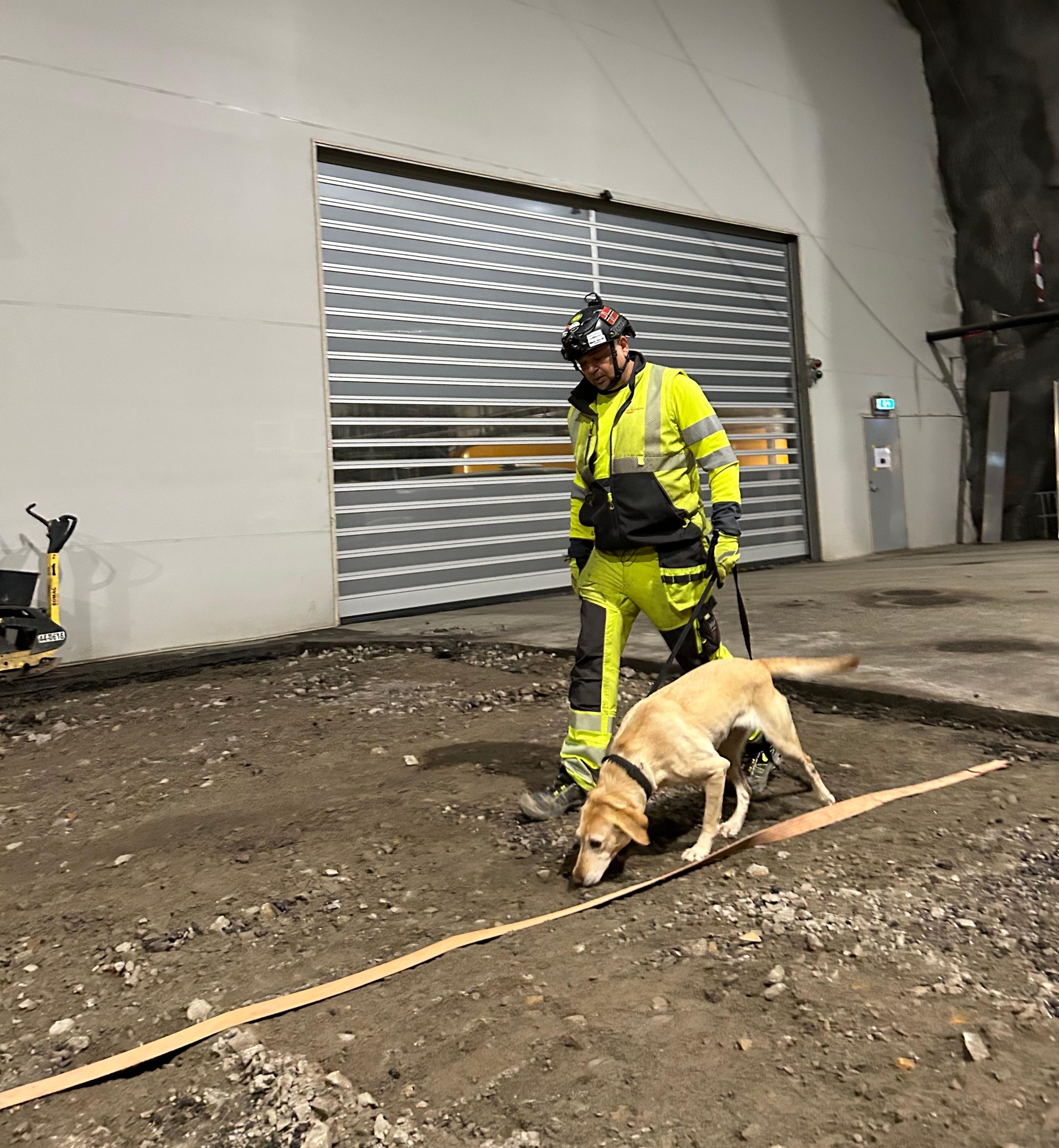 Mann i gul refleksbekledning og hjelm med en gul labrador-hund ved inngang til tunnel eller industribygg.