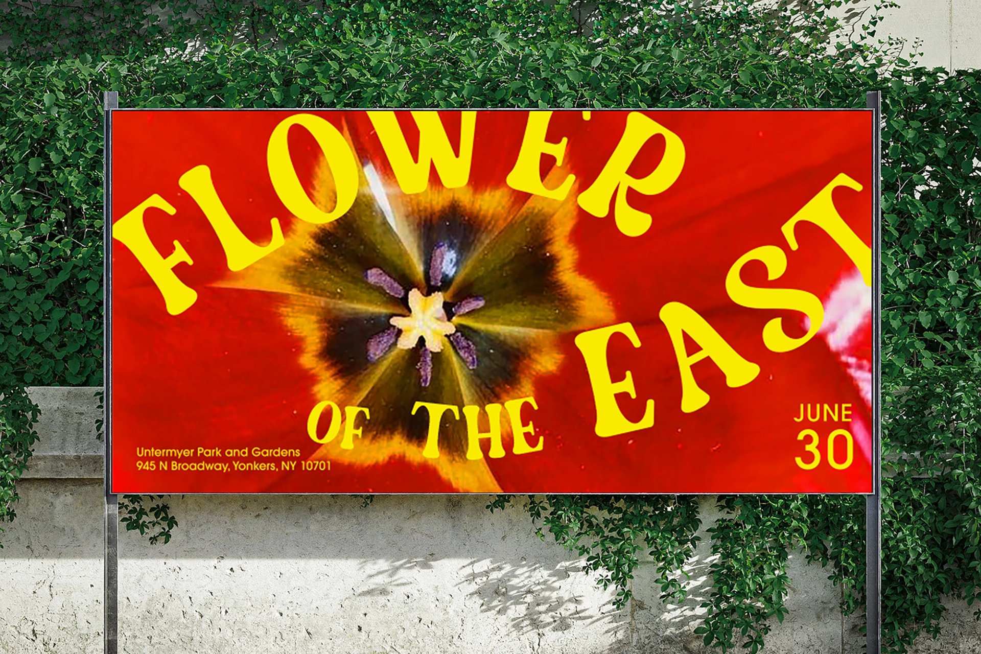 Flower of the East — image 2