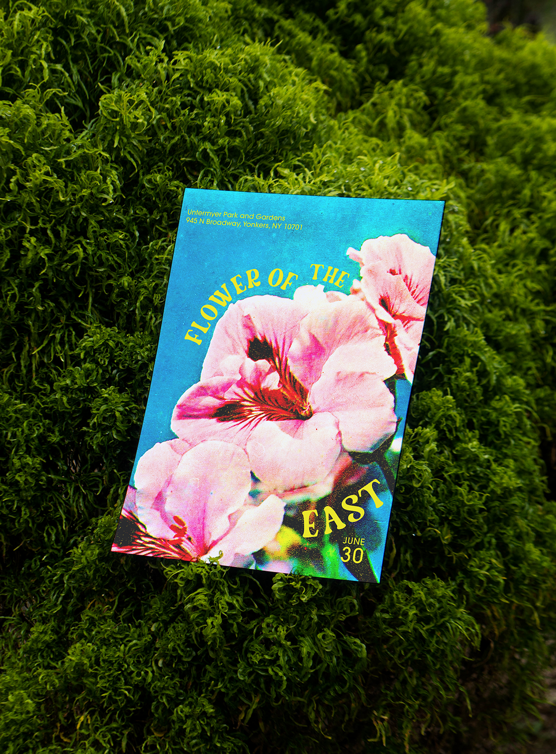 Flower of the East — image 3