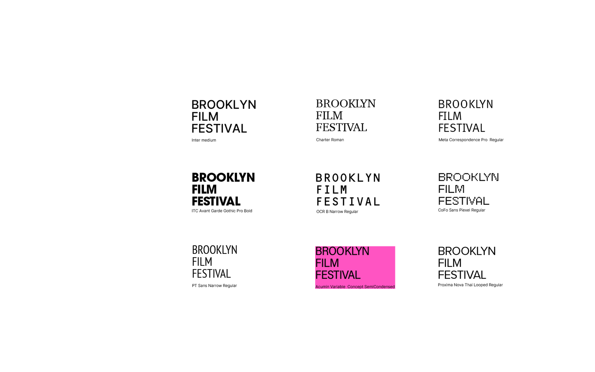 Brklyn Film Festival — image 3